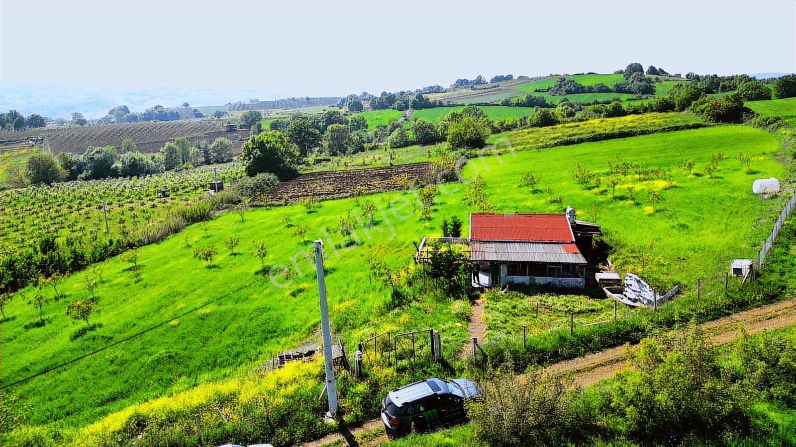 Kocaeli Karamürsel Yalakdere 13,442 M2 Tarla İçinde Evi Olan - Görsel 18