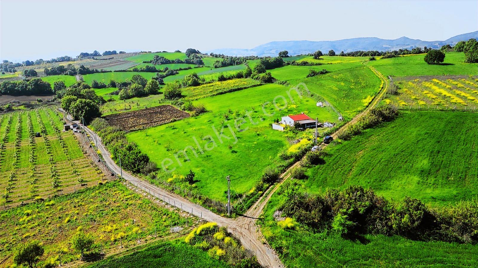 Kocaeli Karamürsel Yalakdere 13,442 M2 Tarla İçinde Evi Olan - Görsel 12