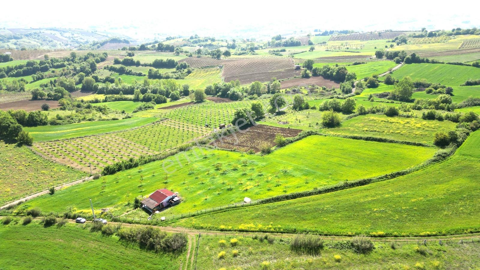 Kocaeli Karamürsel Yalakdere 13,442 M2 Tarla İçinde Evi Olan - Görsel 9