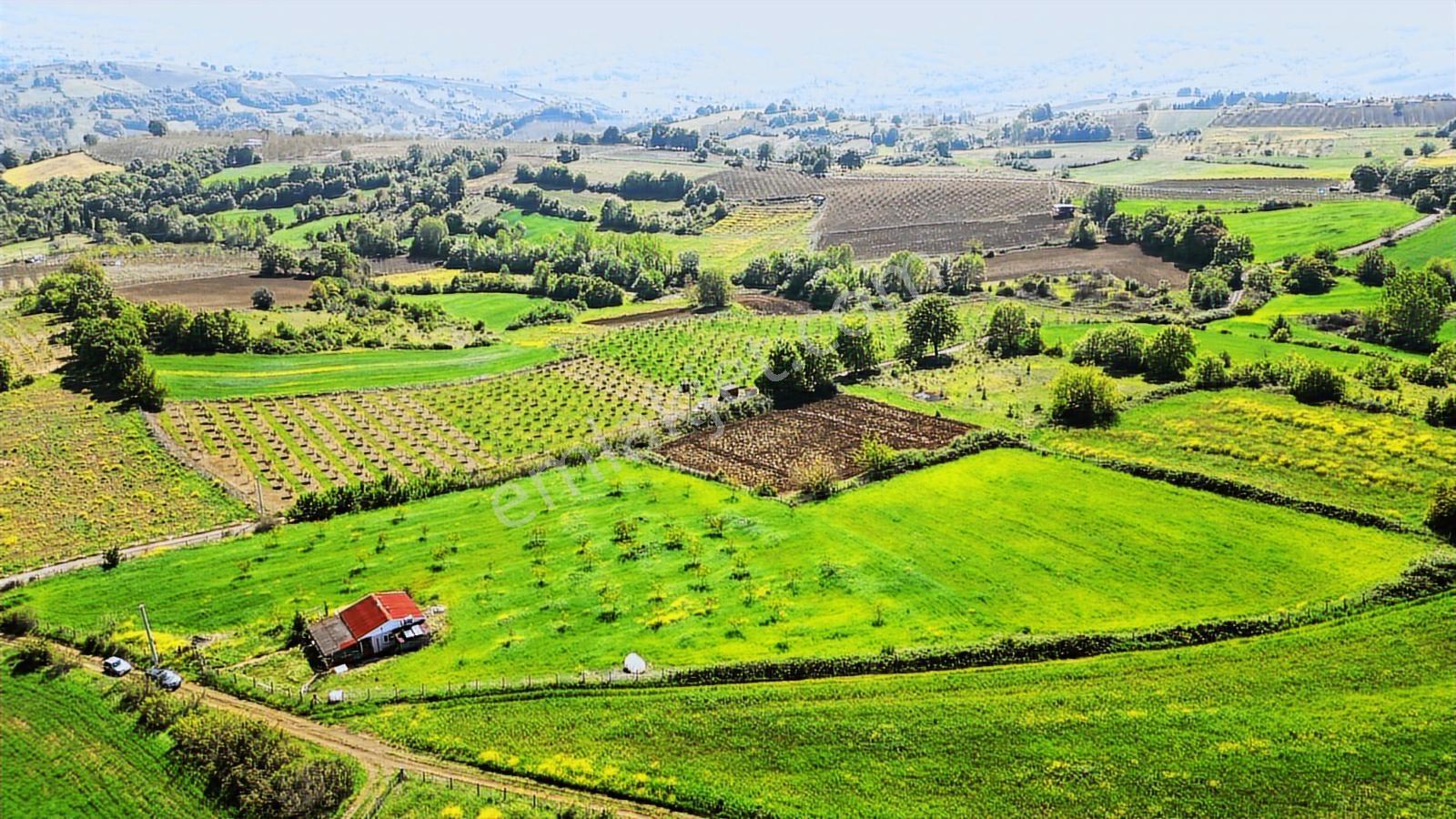 Kocaeli Karamürsel Yalakdere 13,442 M2 Tarla İçinde Evi Olan - Görsel 15