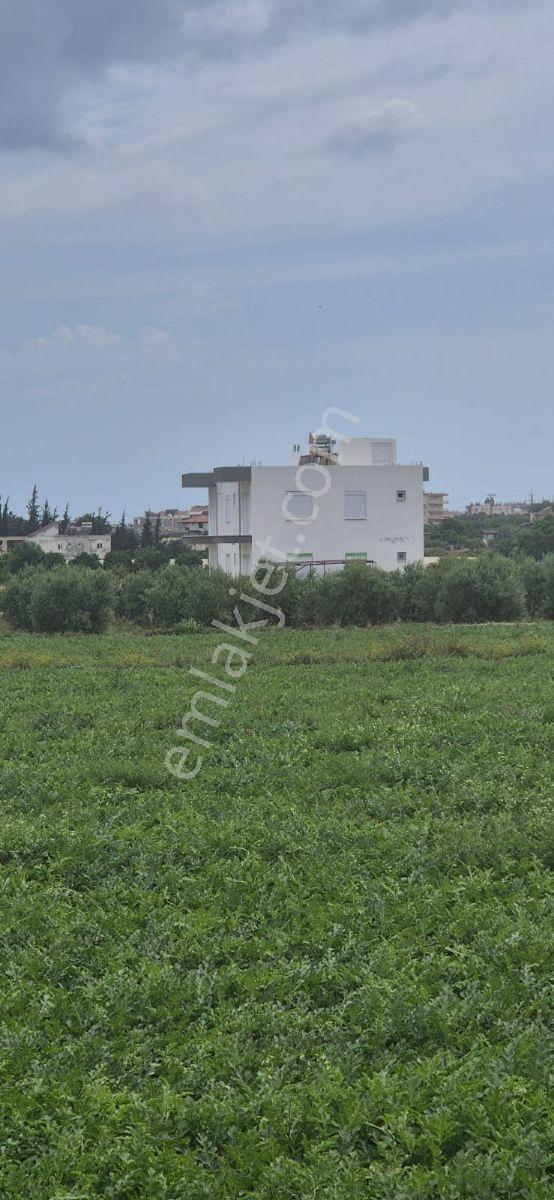 Ulukapı Mah Satılık Müstakil Bina