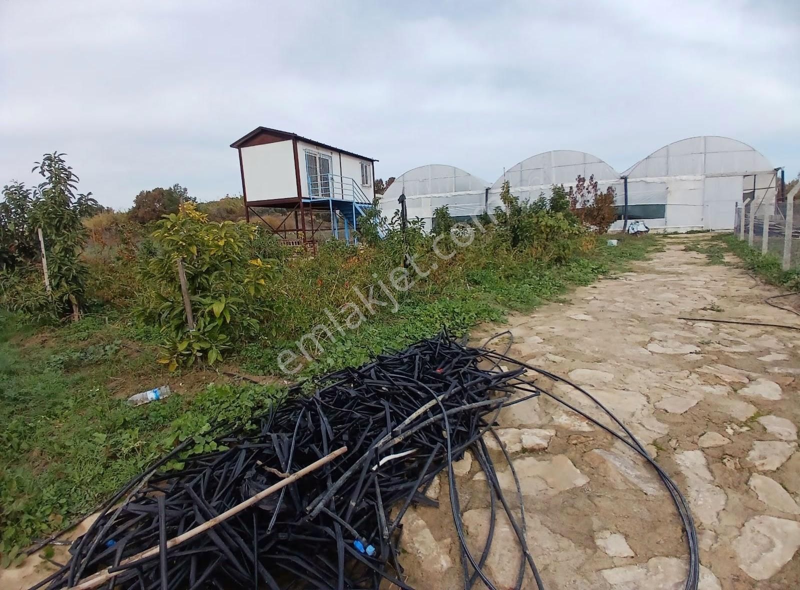 Manavgat Çenger De 6168 M² Tarla Ve Ejder Meyvesi Serası - Görsel 10