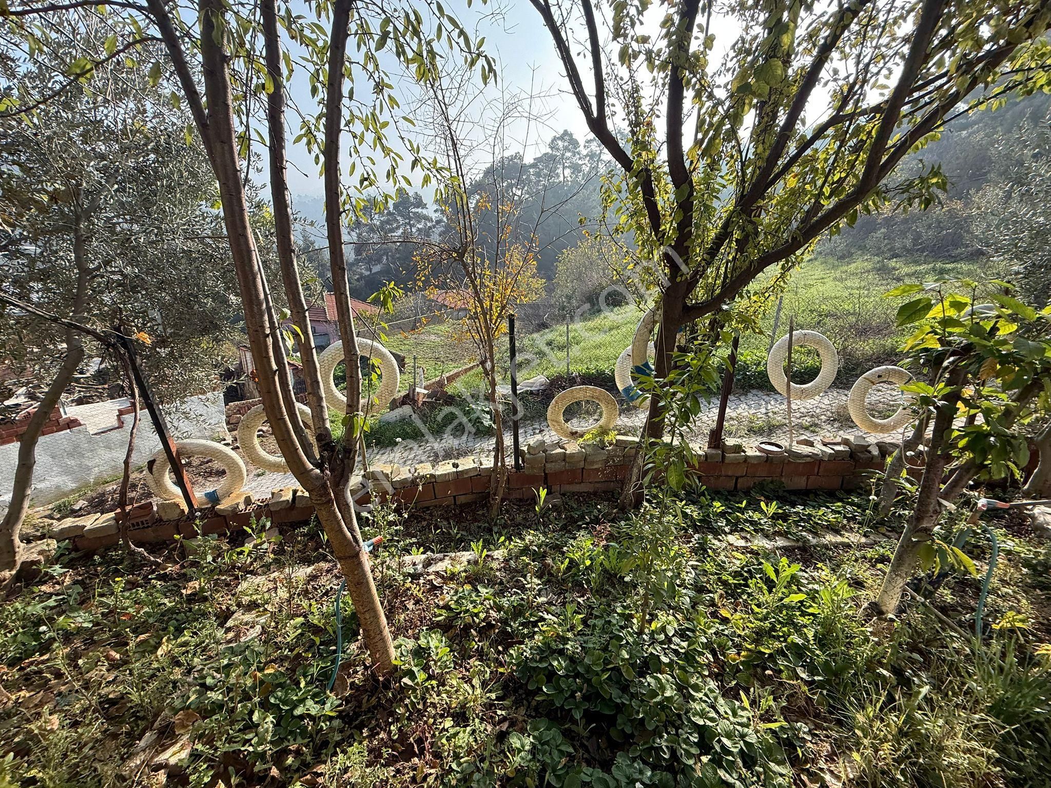 Tarssa Gayrimenkul'den Kemalpaşa Sinancılar'da Satılık Müstakil Ev - Görsel 15
