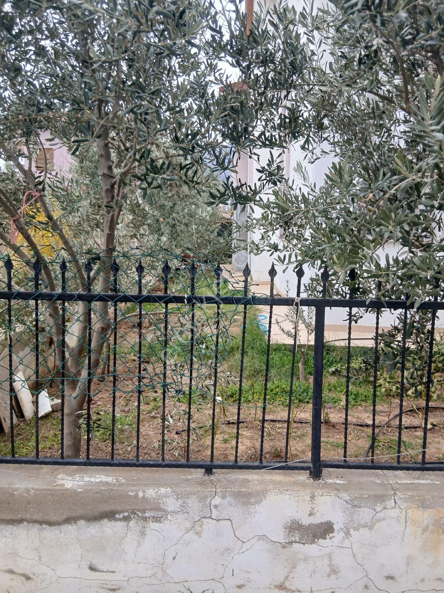 Kiralık Yaz Kış Uturabilecek Yazlık - Görsel 22