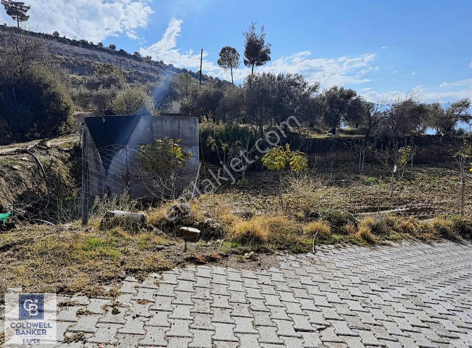 Aydın'da İncir Ve Zeytinlik Fırsat Arsa - Görsel 4