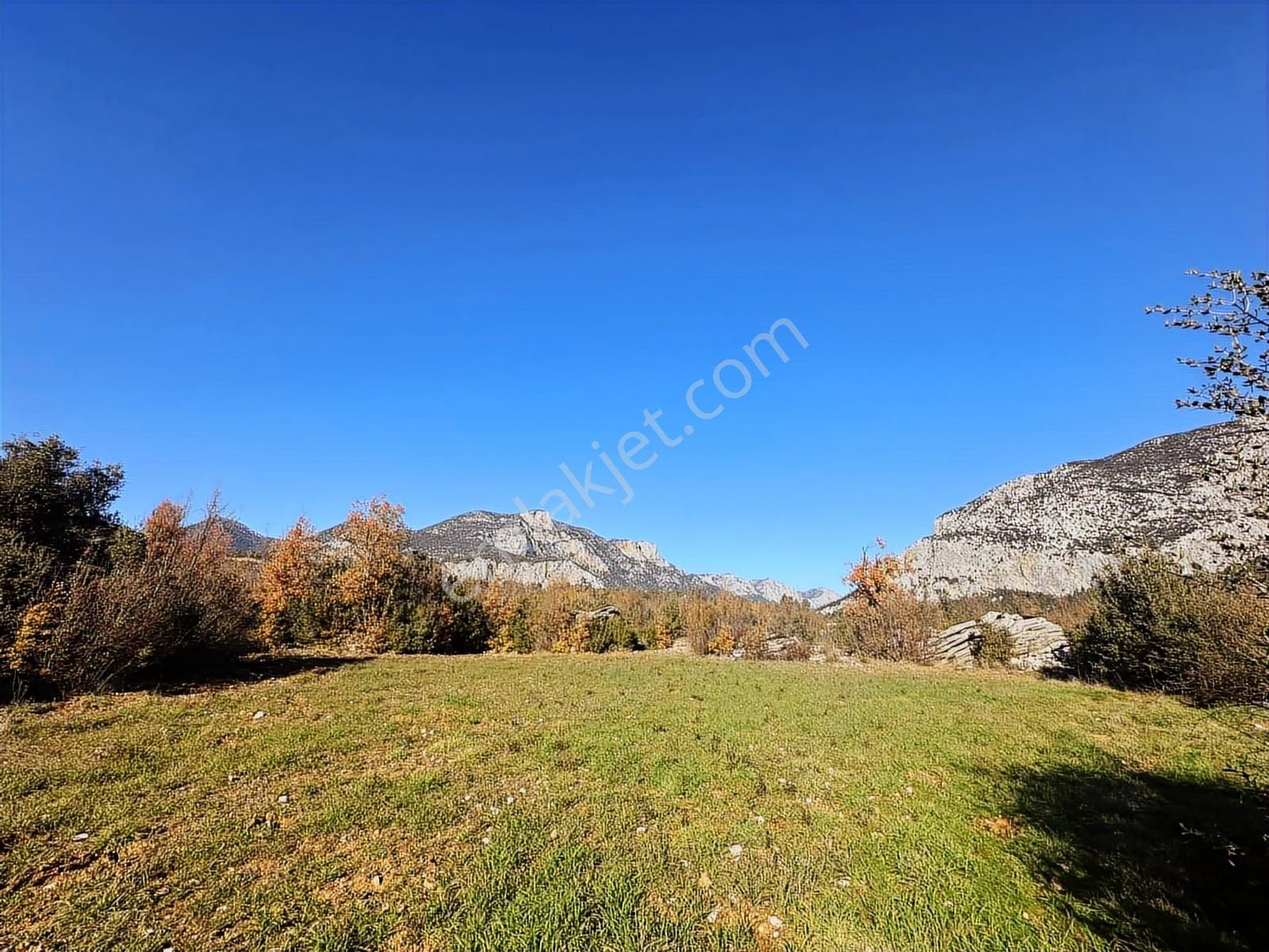 Antalya İbradı Düzlen Mahallesi Satılık Tek Tapu Tarla - Görsel 2