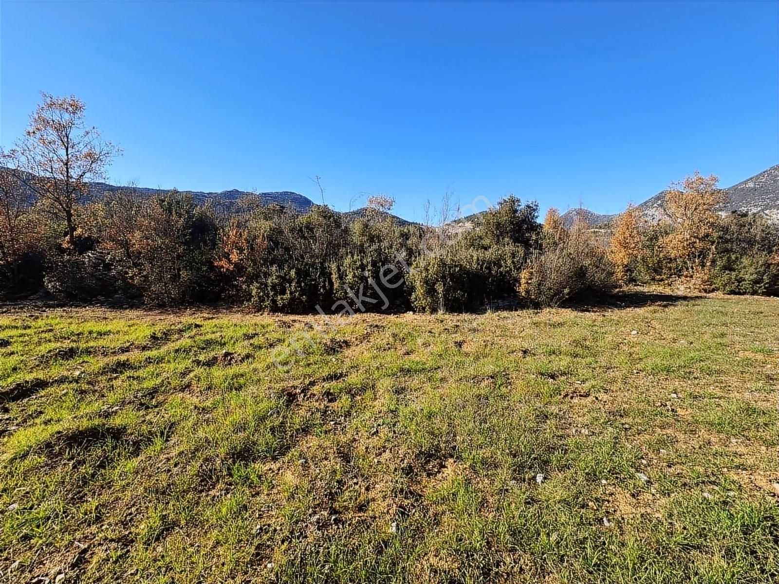 Antalya İbradı Düzlen Mahallesi Satılık Tek Tapu Tarla - Görsel 11