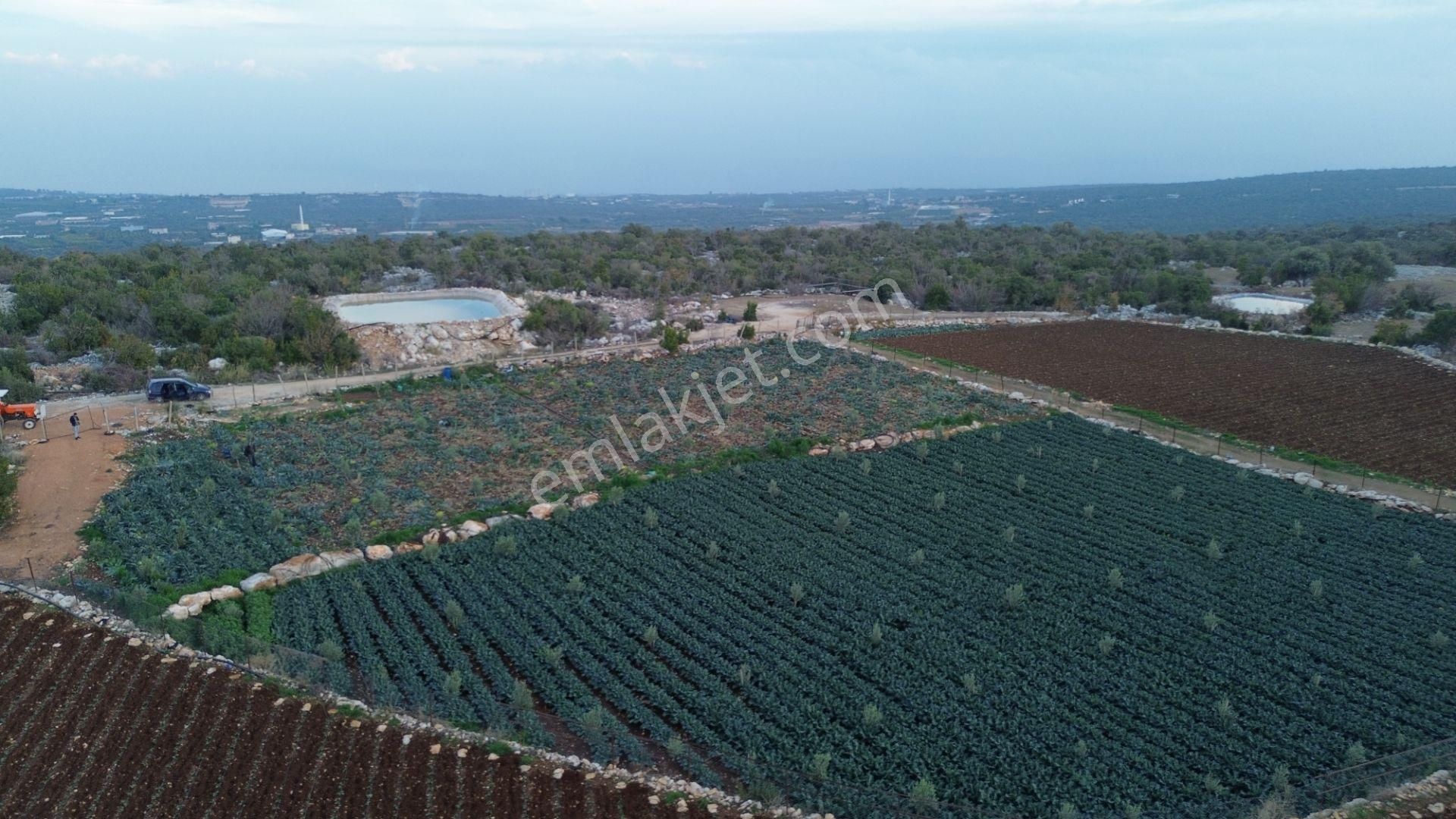 3,500 M2 Tarla Sakinlik Arayanlara Özel Yer - Görsel 8
