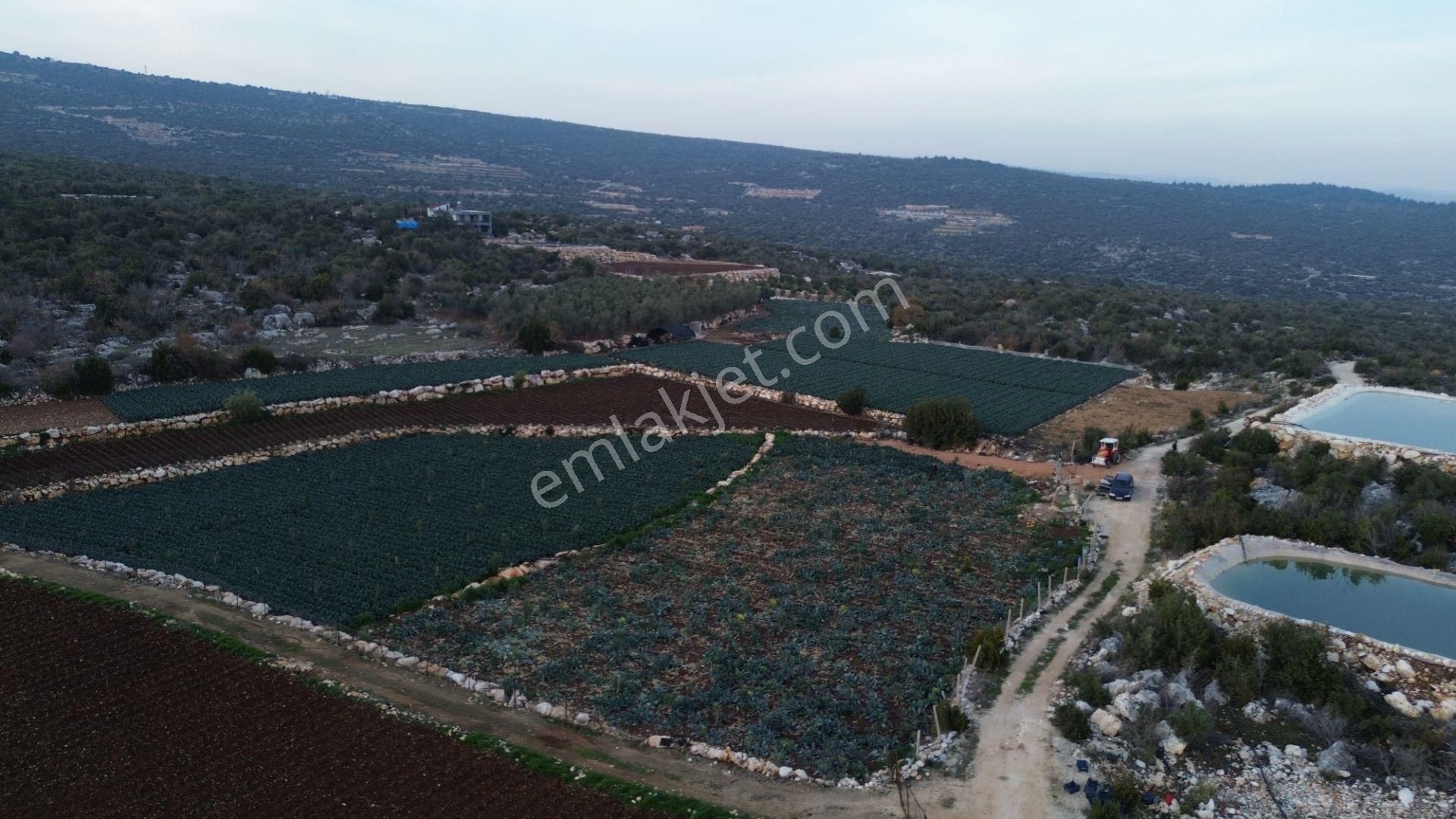 3,500 M2 Tarla Sakinlik Arayanlara Özel Yer - Görsel 17