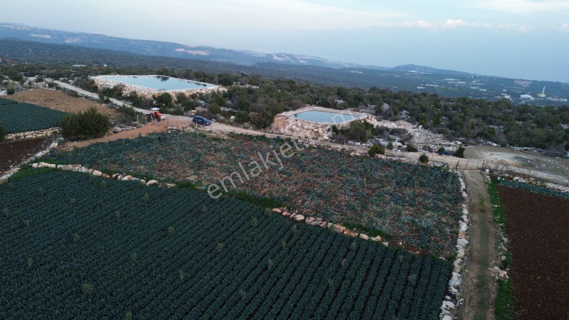 3,500 M2 Tarla Sakinlik Arayanlara Özel Yer - Görsel 11