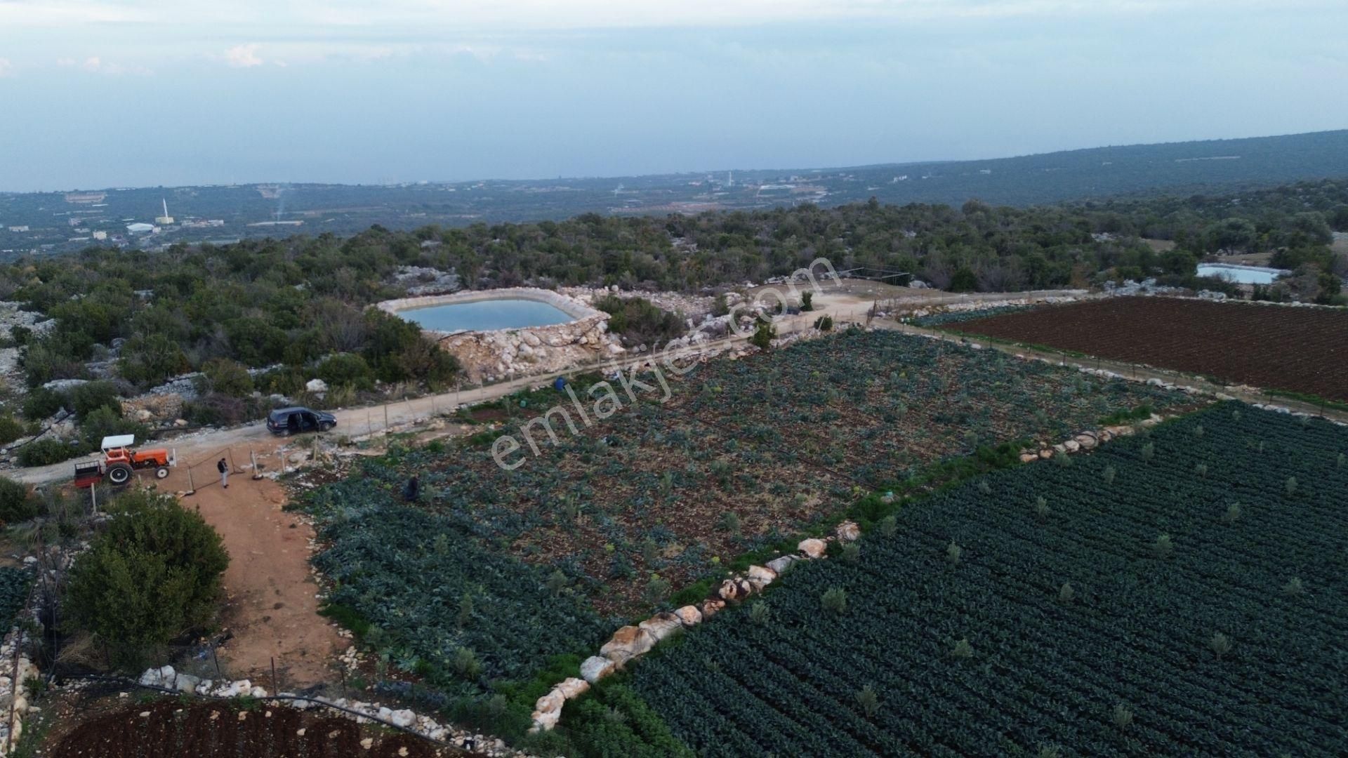 3,500 M2 Tarla Sakinlik Arayanlara Özel Yer - Görsel 3