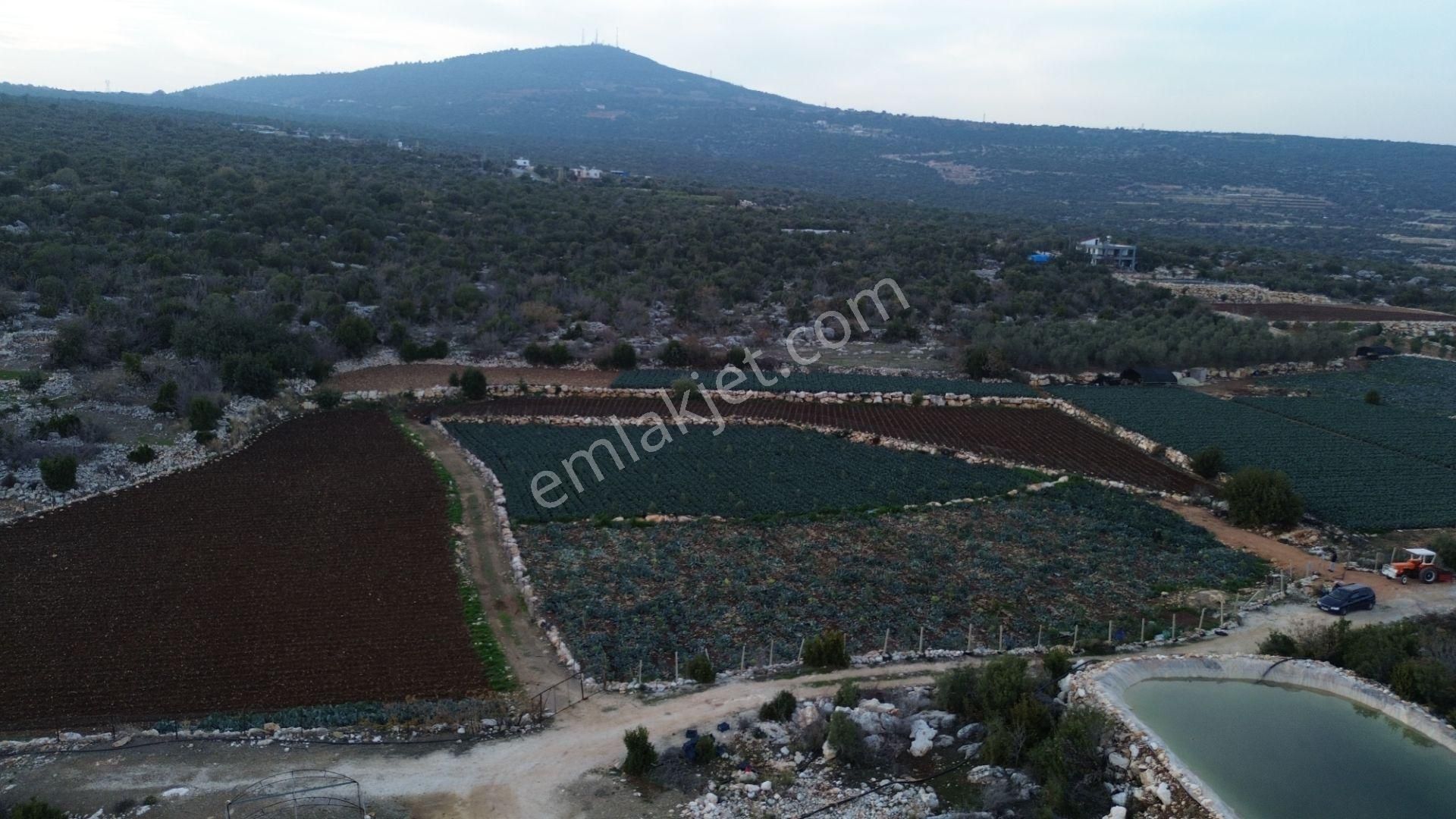 3,500 M2 Tarla Sakinlik Arayanlara Özel Yer - Görsel 18