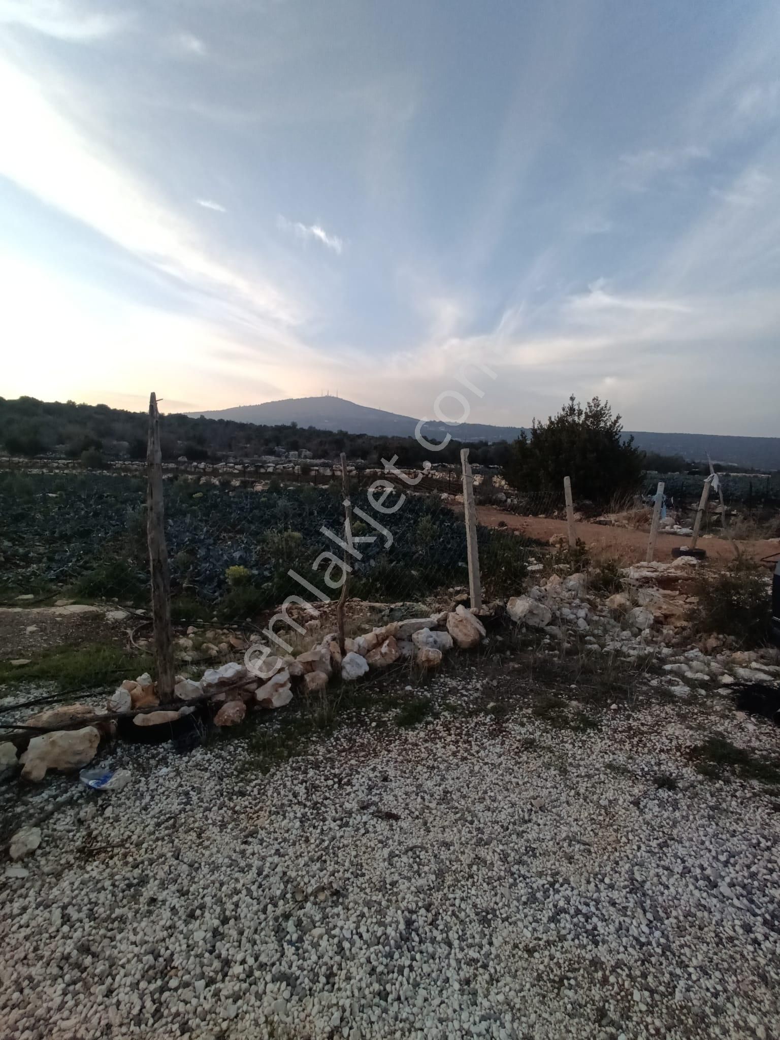 3,500 M2 Tarla Sakinlik Arayanlara Özel Yer - Görsel 21