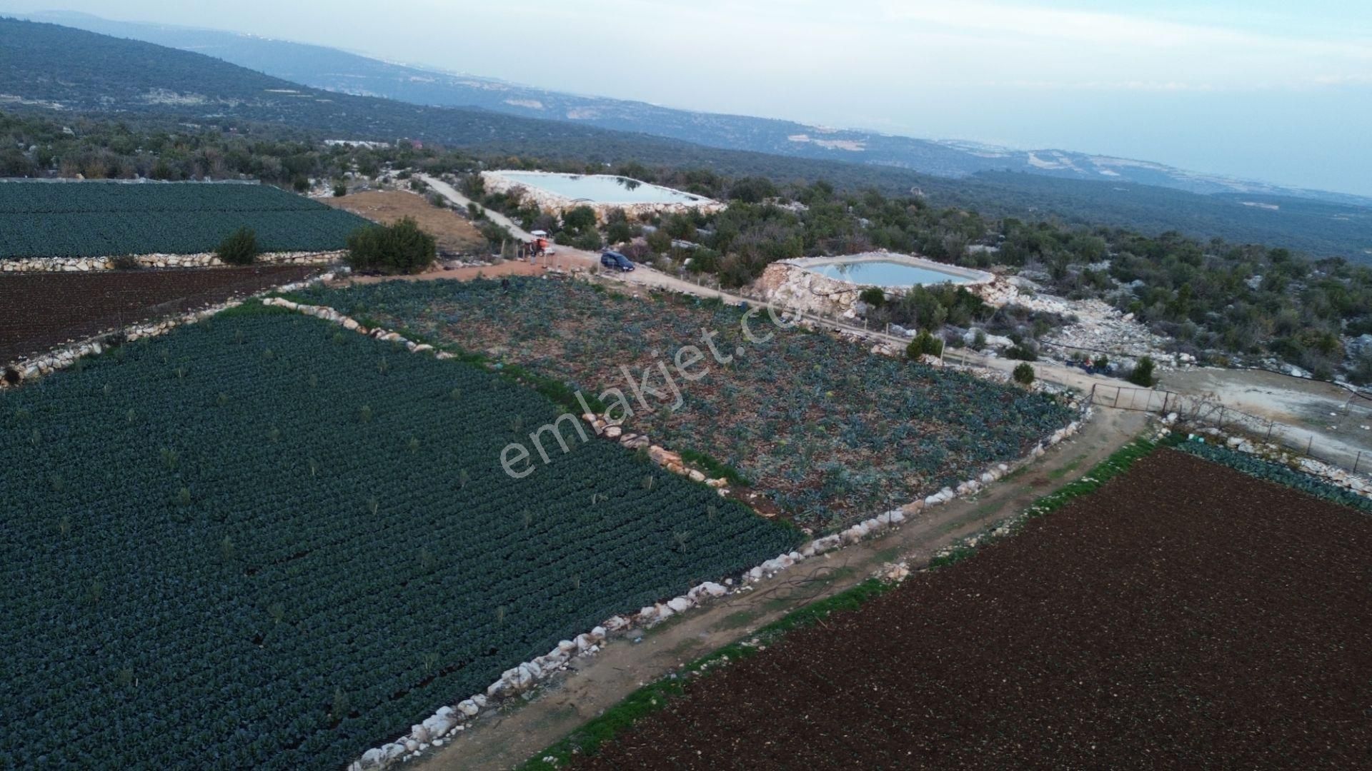 3,500 M2 Tarla Sakinlik Arayanlara Özel Yer - Görsel 12
