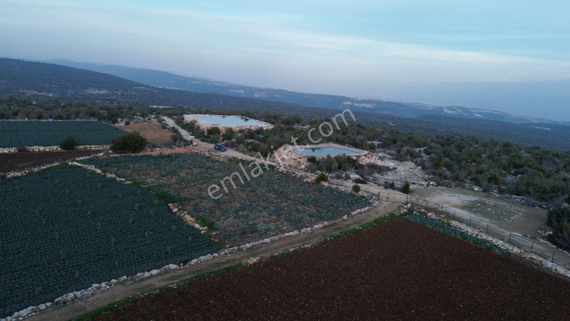 3,500 M2 Tarla Sakinlik Arayanlara Özel Yer - Görsel 14