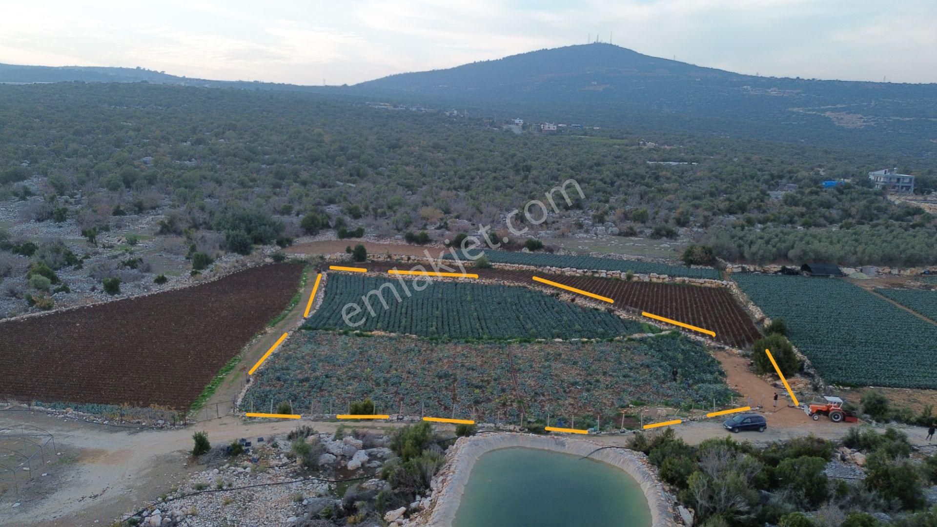 3,500 M2 Tarla Sakinlik Arayanlara Özel Yer - Görsel 13