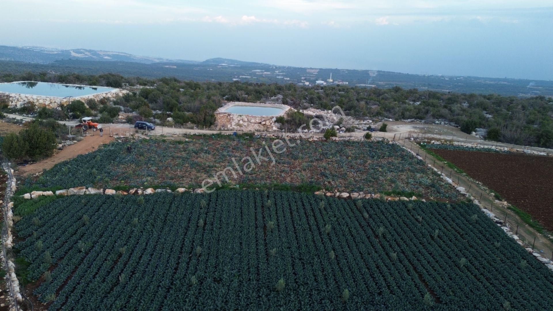 3,500 M2 Tarla Sakinlik Arayanlara Özel Yer - Görsel 10