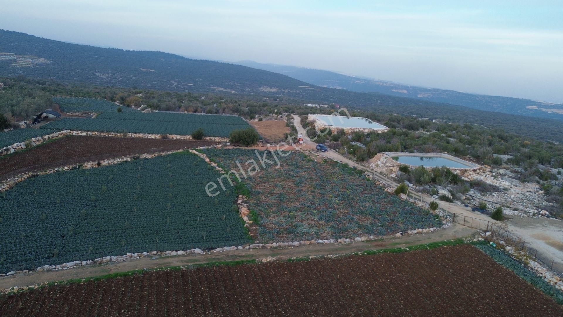 3,500 M2 Tarla Sakinlik Arayanlara Özel Yer - Görsel 15