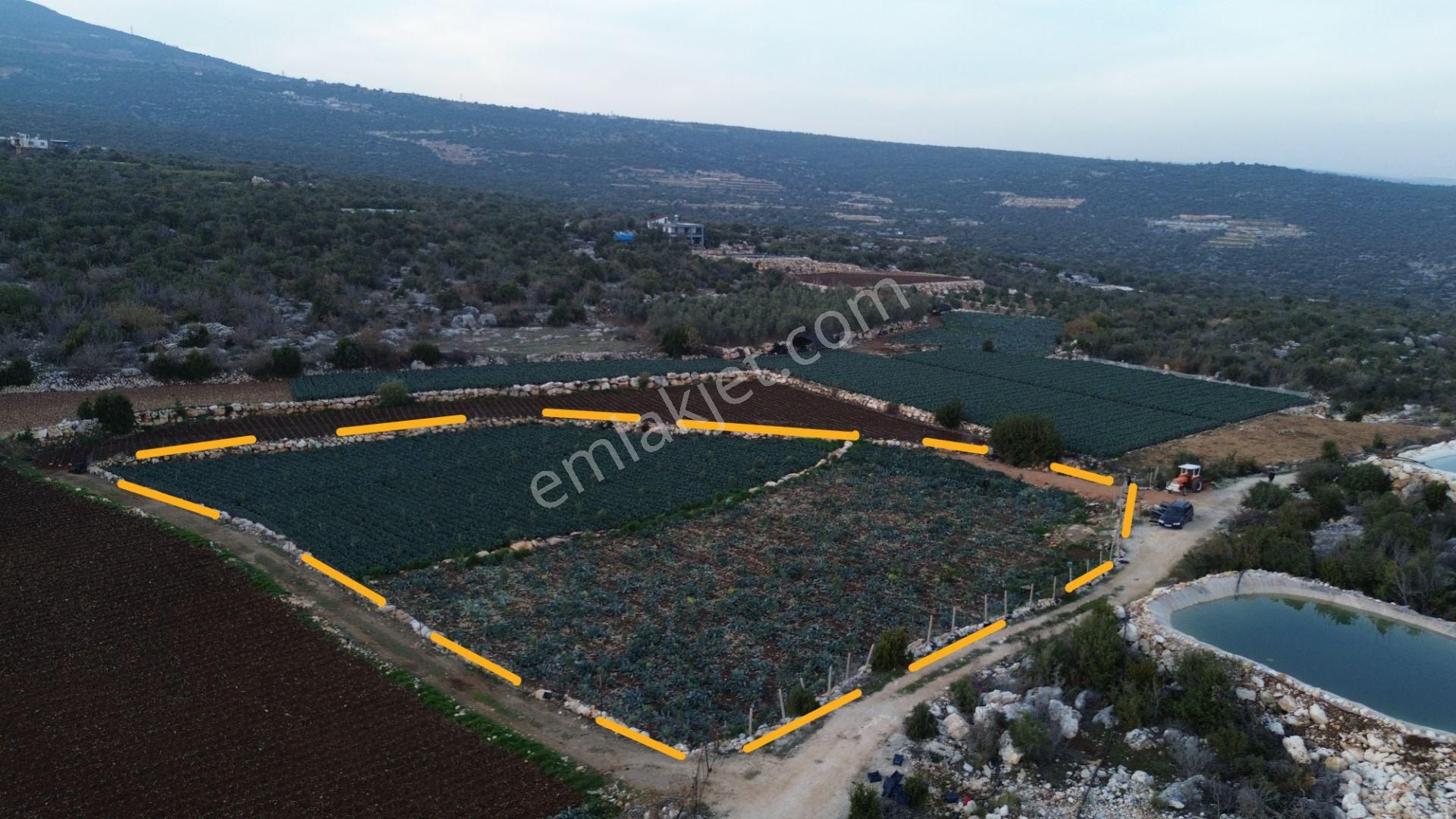 3,500 M2 Tarla Sakinlik Arayanlara Özel Yer