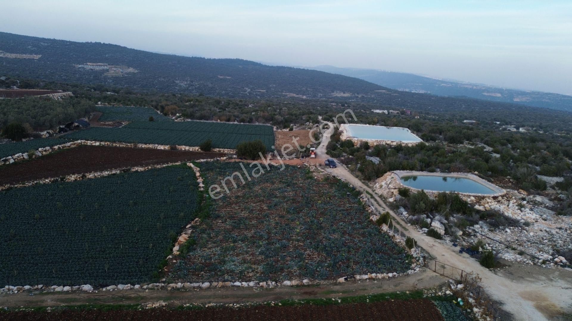 3,500 M2 Tarla Sakinlik Arayanlara Özel Yer - Görsel 16
