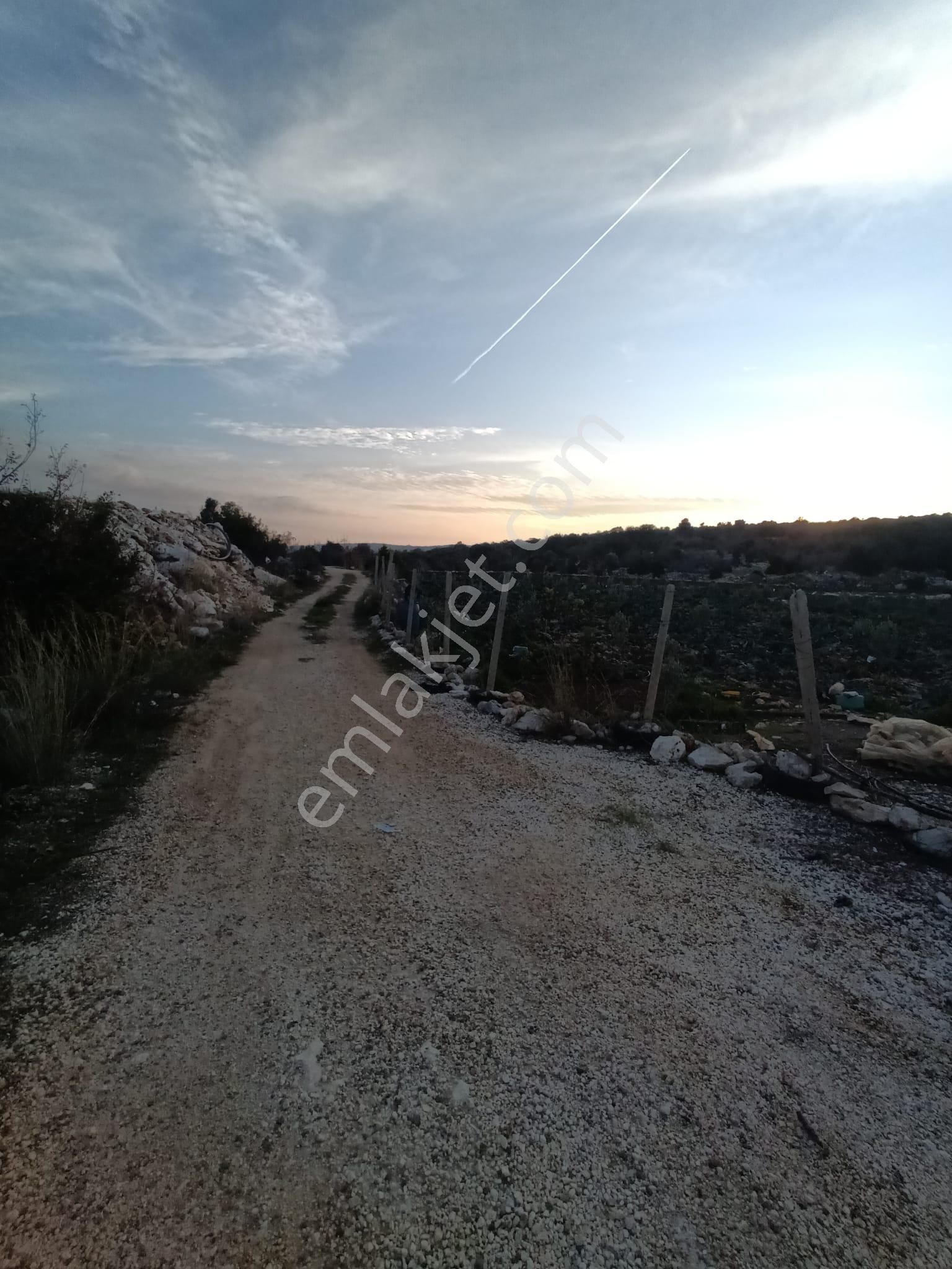 3,500 M2 Tarla Sakinlik Arayanlara Özel Yer - Görsel 4