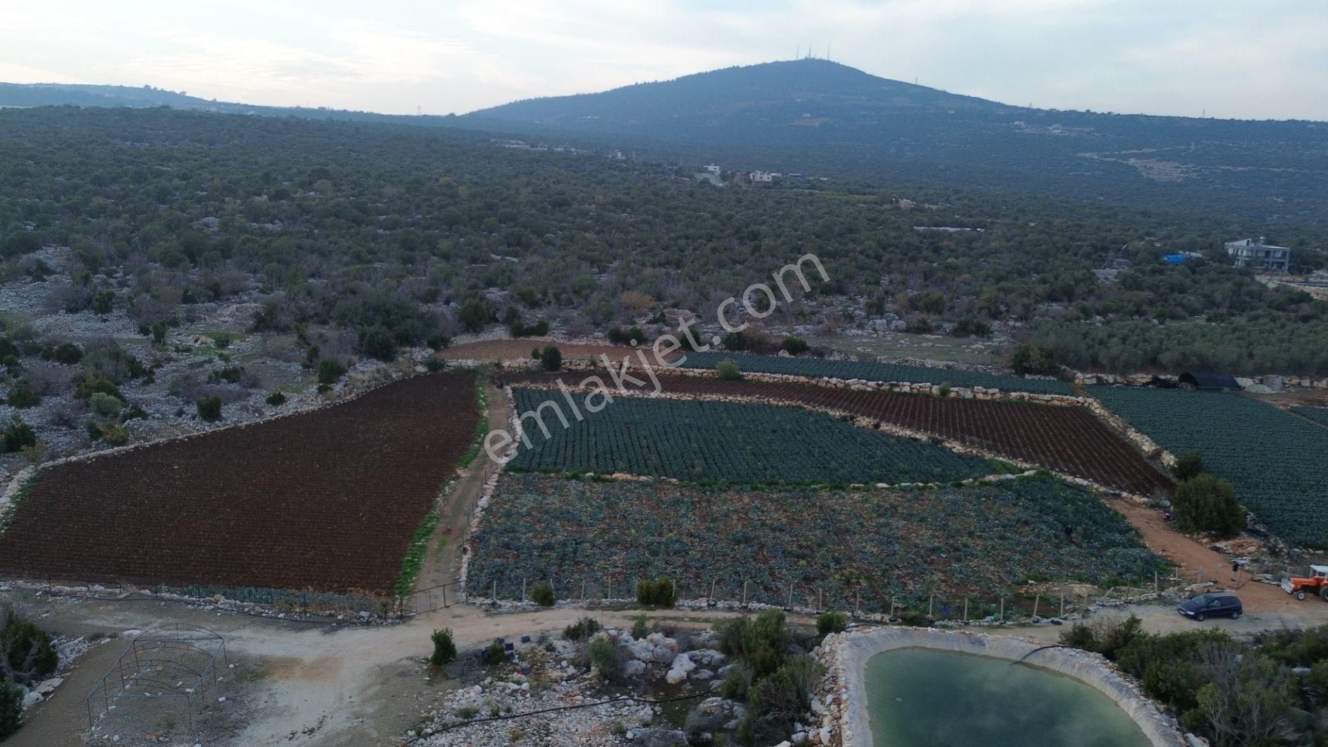 3,500 M2 Tarla Sakinlik Arayanlara Özel Yer - Görsel 19