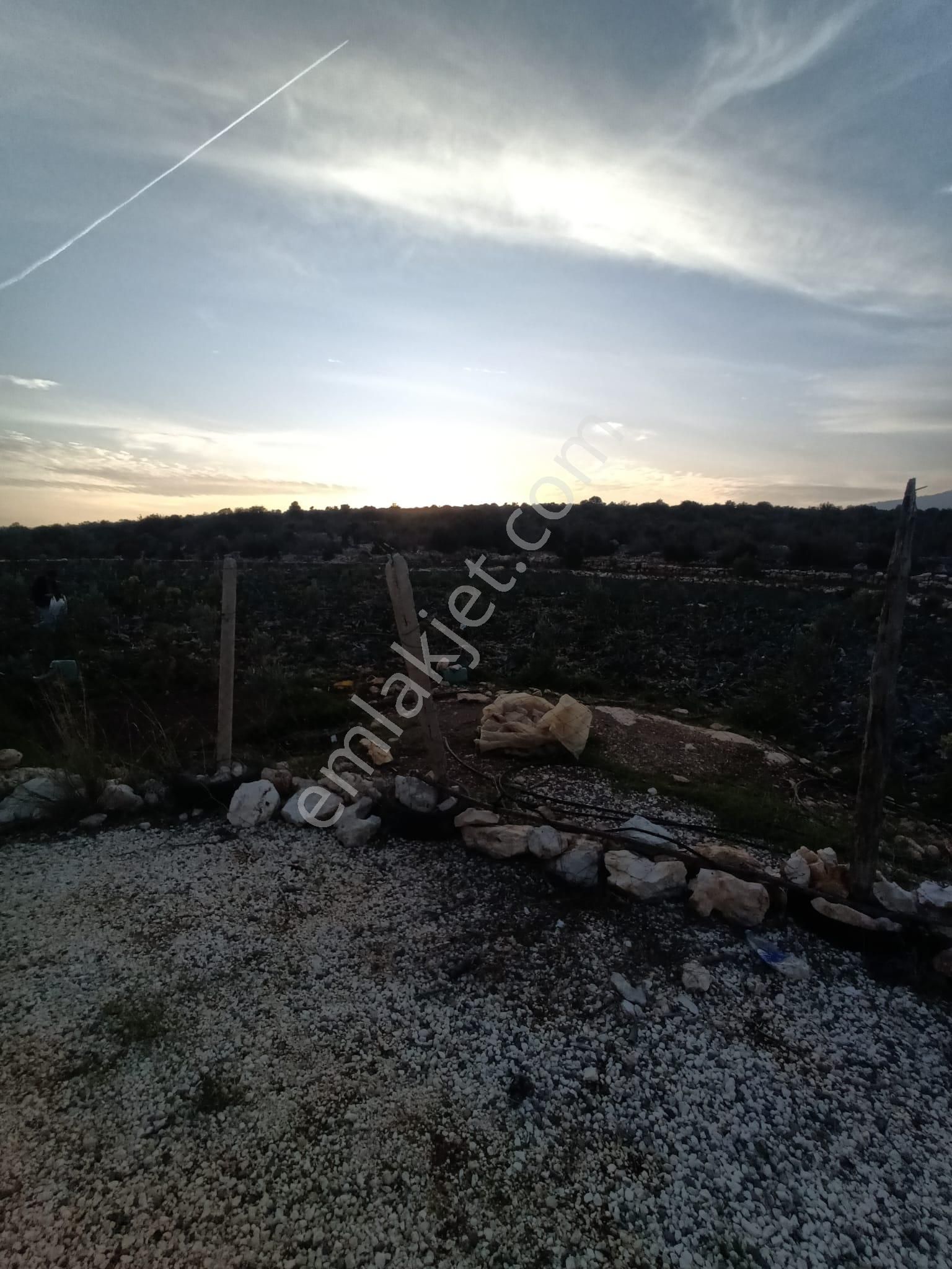 3,500 M2 Tarla Sakinlik Arayanlara Özel Yer - Görsel 23