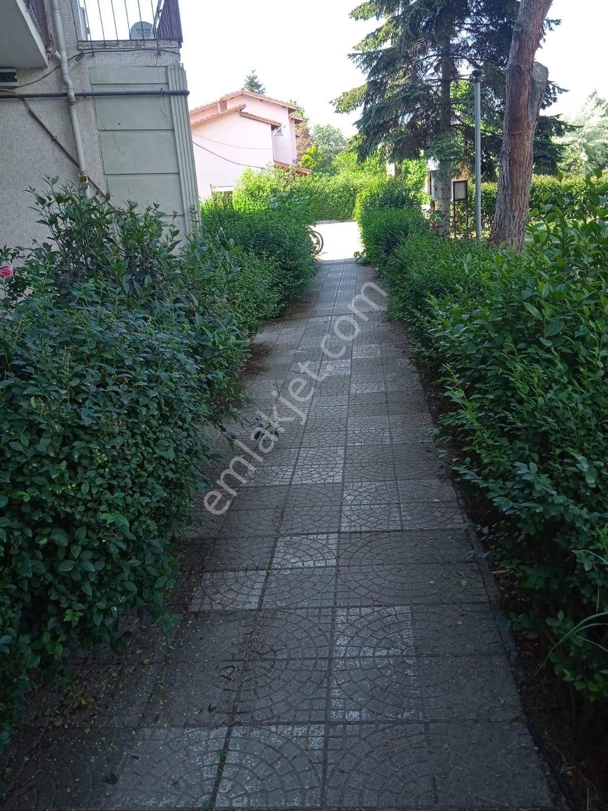 Şekercioğlu'ndan Çiftlikköy Sahilde 2+1 Boş Kiralık Daire - Görsel 4