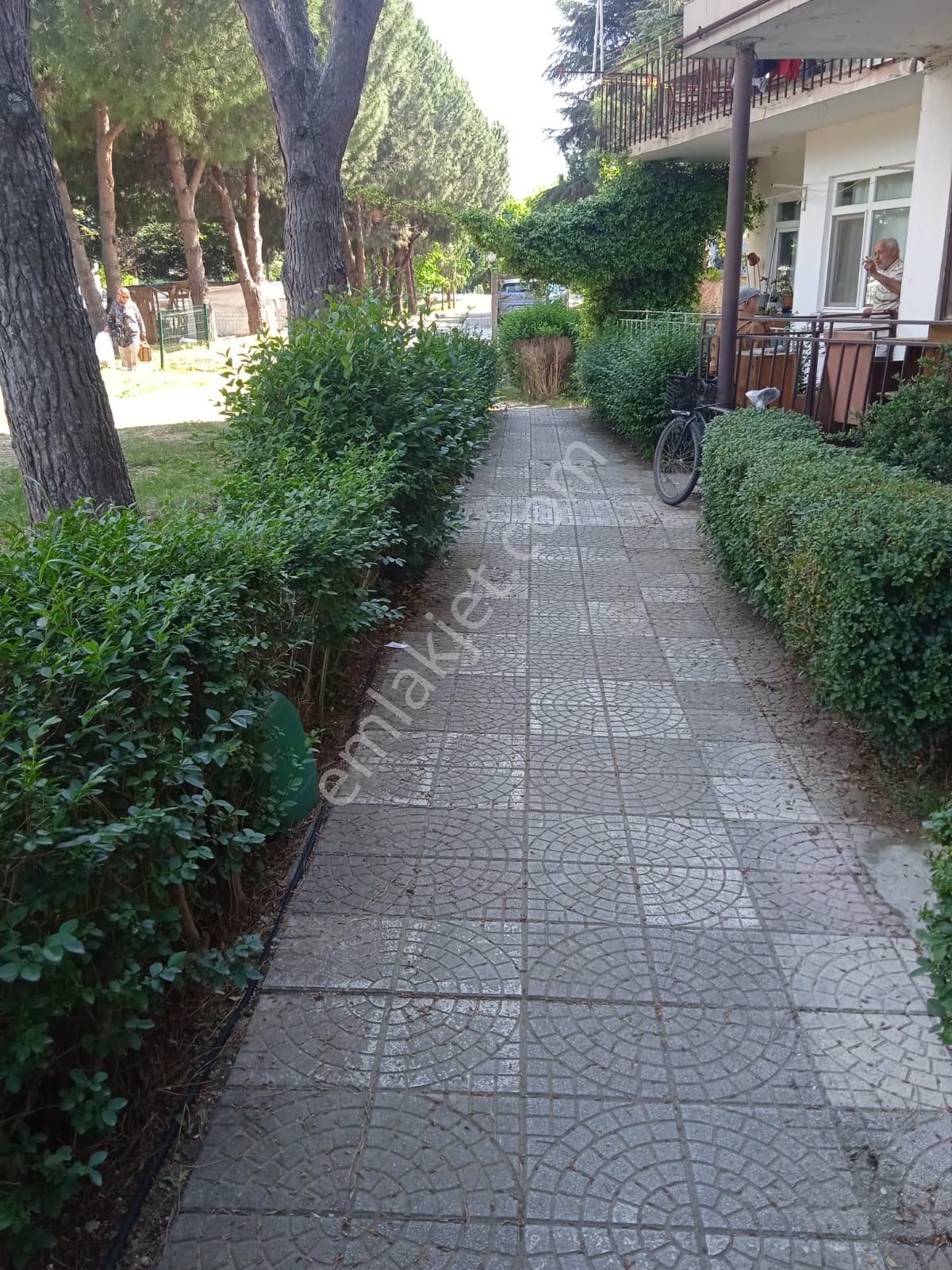 Şekercioğlu'ndan Çiftlikköy Sahilde 2+1 Boş Kiralık Daire - Görsel 3