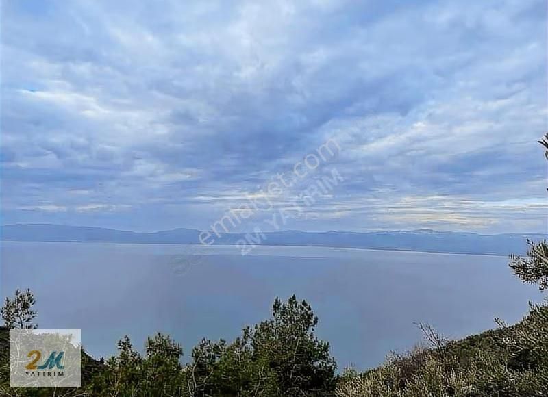 2m Yatırım'dan İznik Aydınlar Köyinde Satılık Zeytinlik - Görsel 9