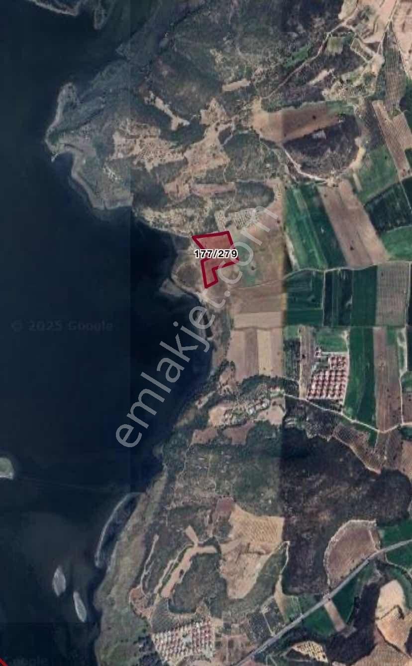 Akköy Kabahayıt Mevkii'nde Satılık Tarla - Görsel 2