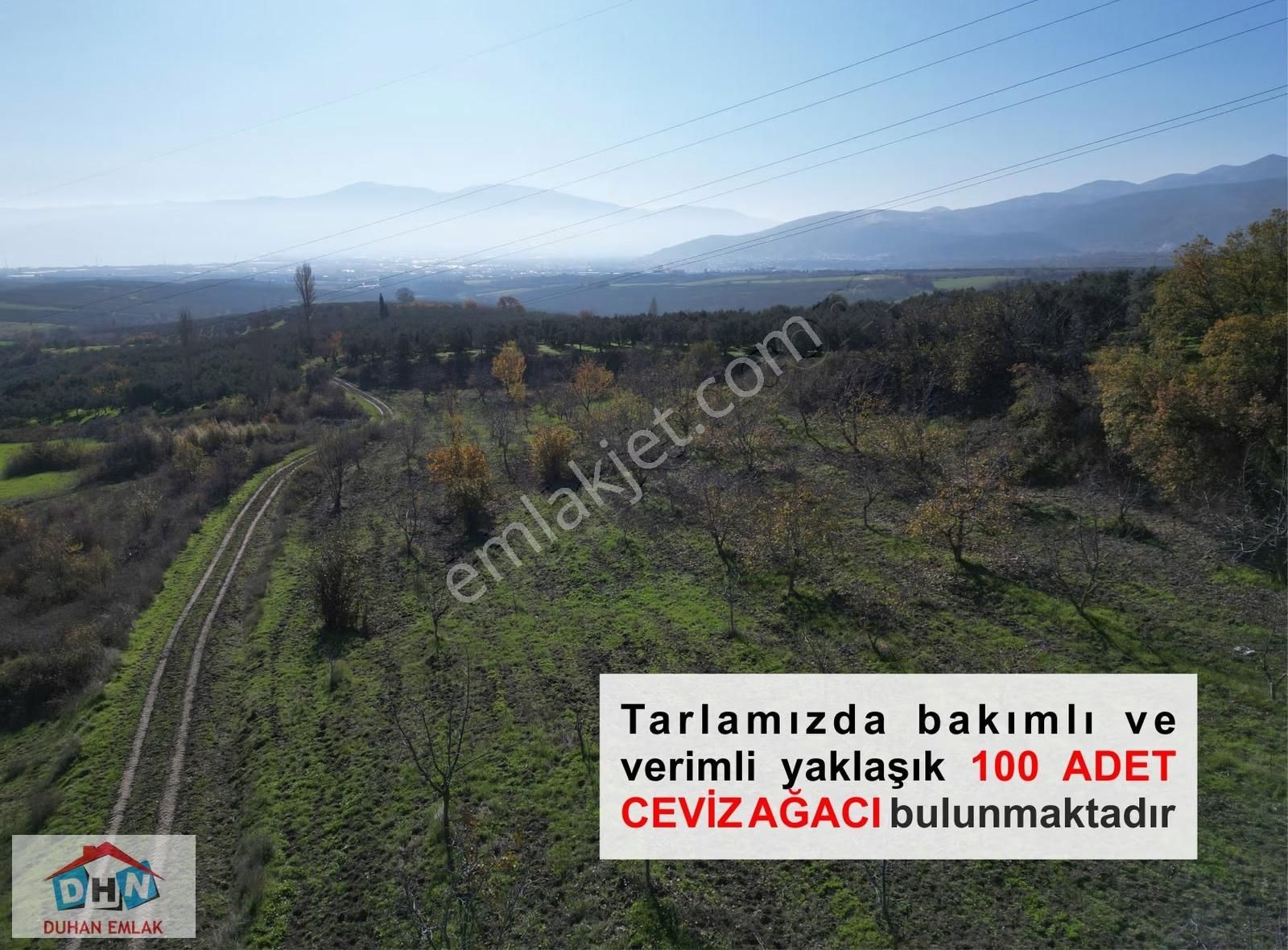 Duhan'dan Orhangazi Ortaköy'de 203 M Yol Cepheli 7.370 M2 Tarla - Görsel 10