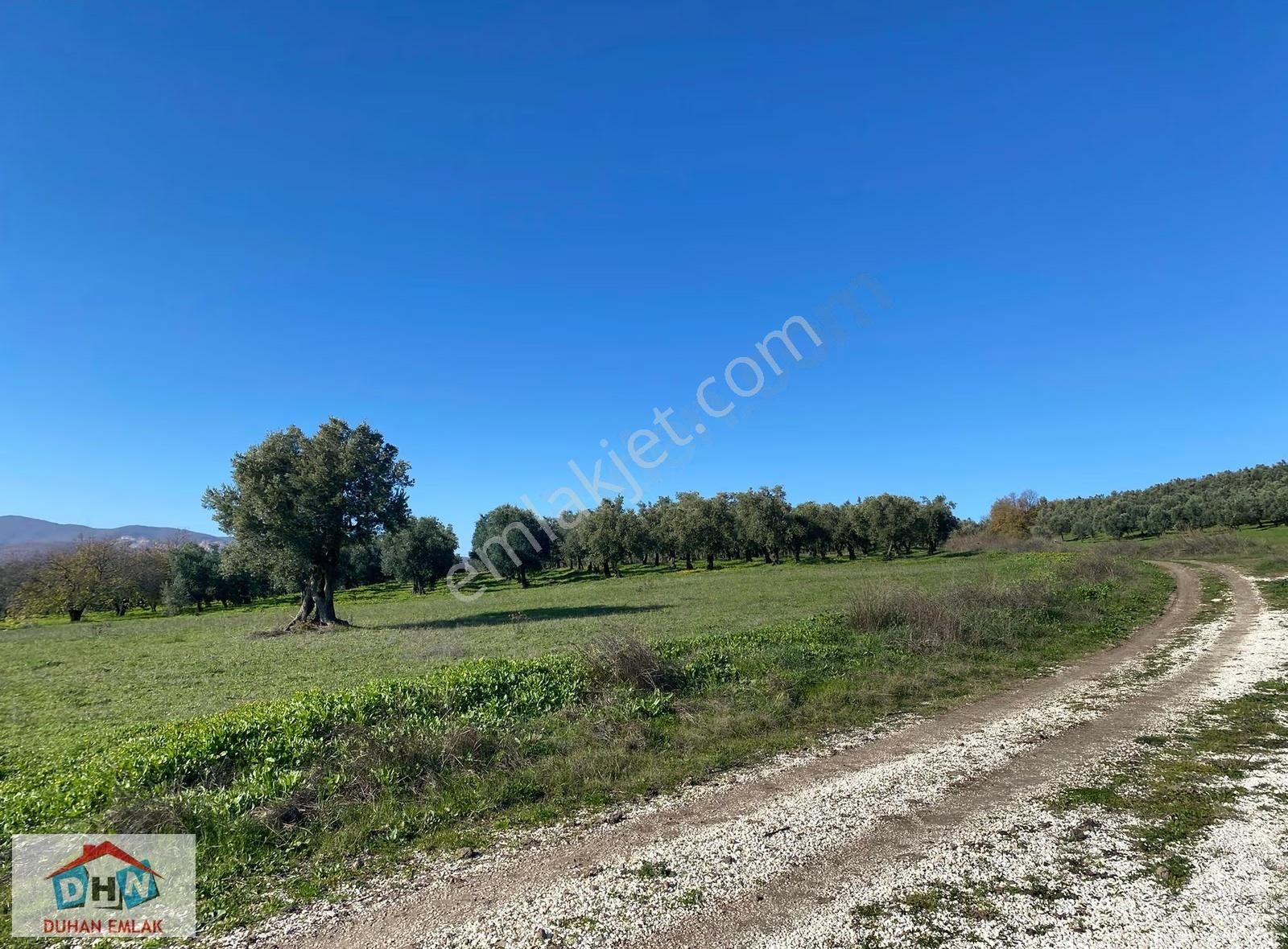 Duhan'dan Orhangazi Ortaköy'de 203 M Yol Cepheli 7.370 M2 Tarla - Görsel 11