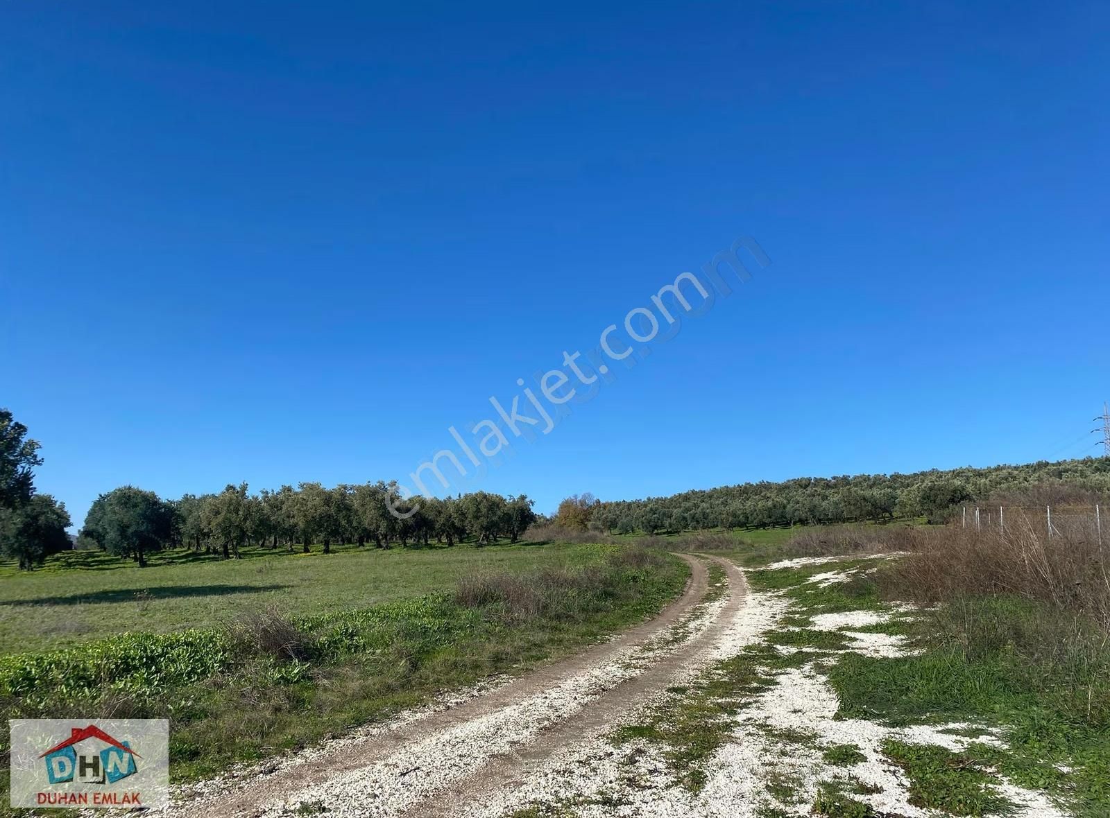 Duhan'dan Orhangazi Ortaköy'de 203 M Yol Cepheli 7.370 M2 Tarla - Görsel 3