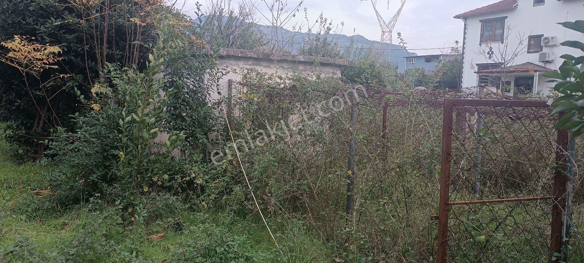 Muğla Köyceğiz Toparlar Mahallesi'nde %5 İmarlı Satılık Arsa - Görsel 2