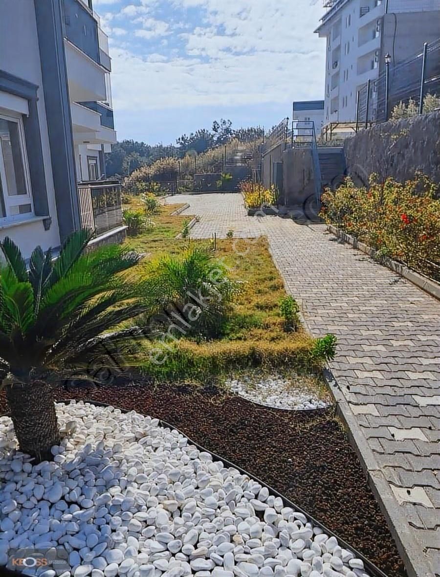 Alanya Avsallarda Site İçerisinde Satılık Eşyalı 1+1 Daire - Görsel 4