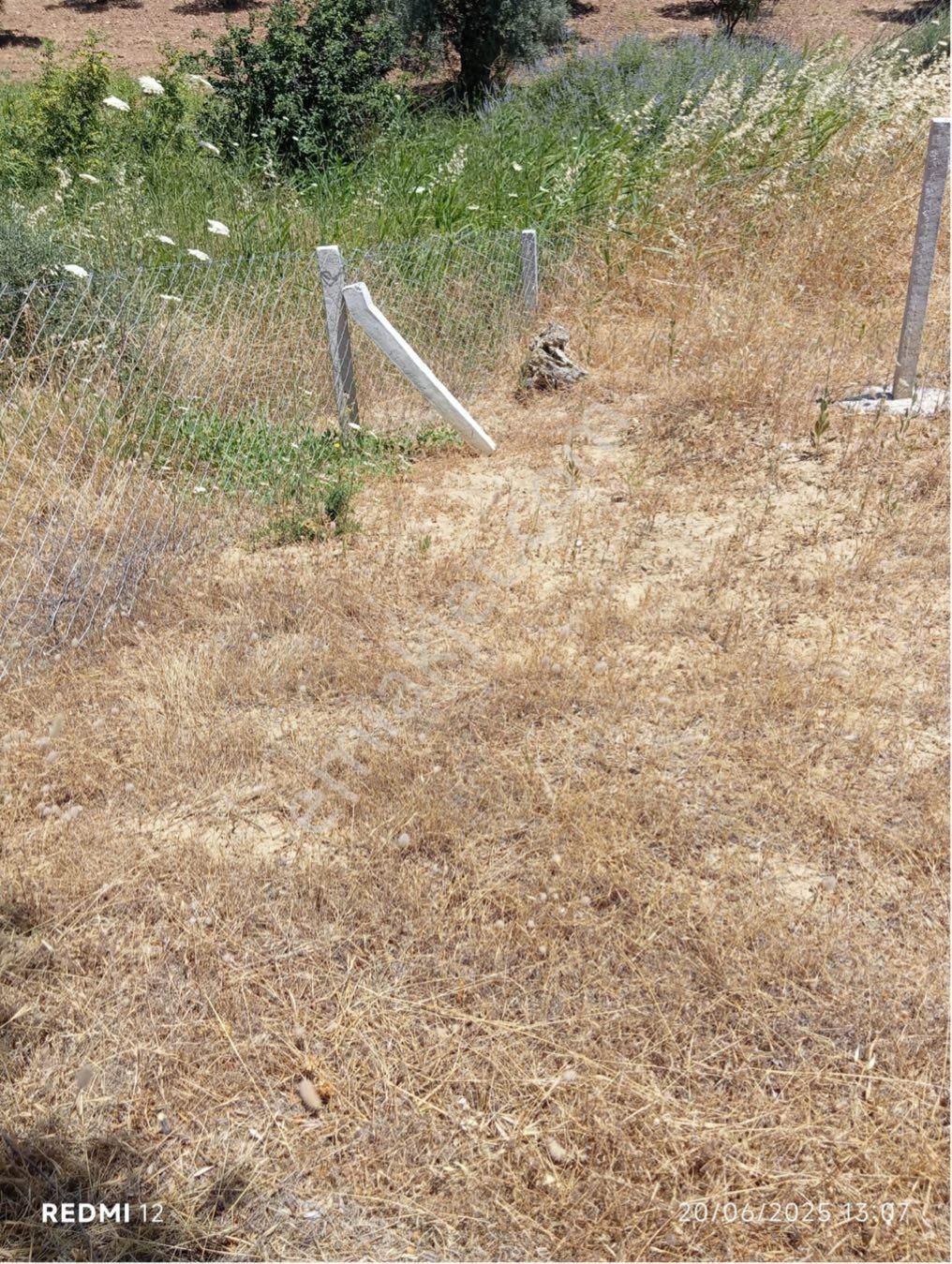 İzmir Torbalı Çapak’da Satılık Arsa - Görsel 2