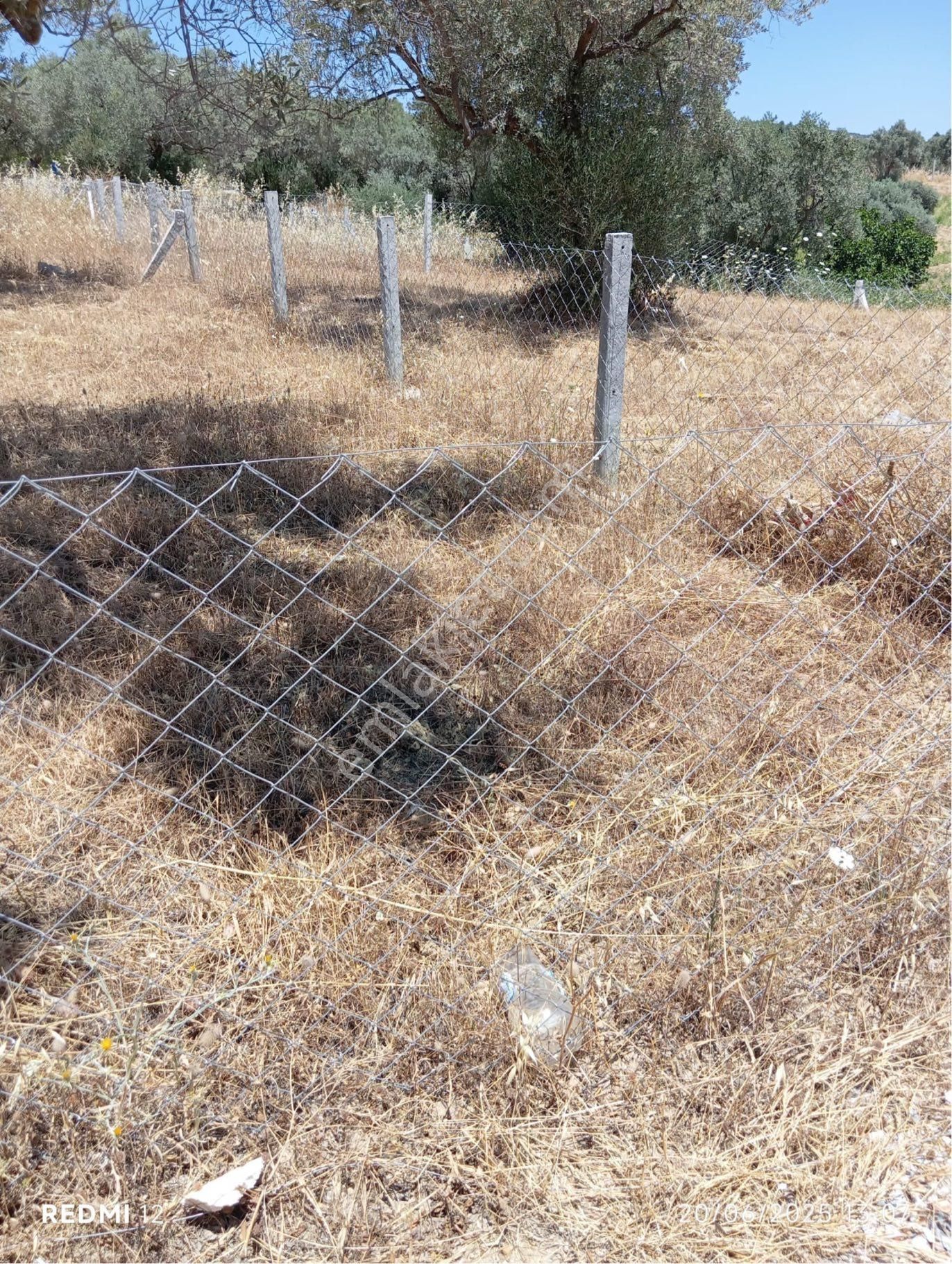 İzmir Torbalı Çapak’da Satılık Arsa