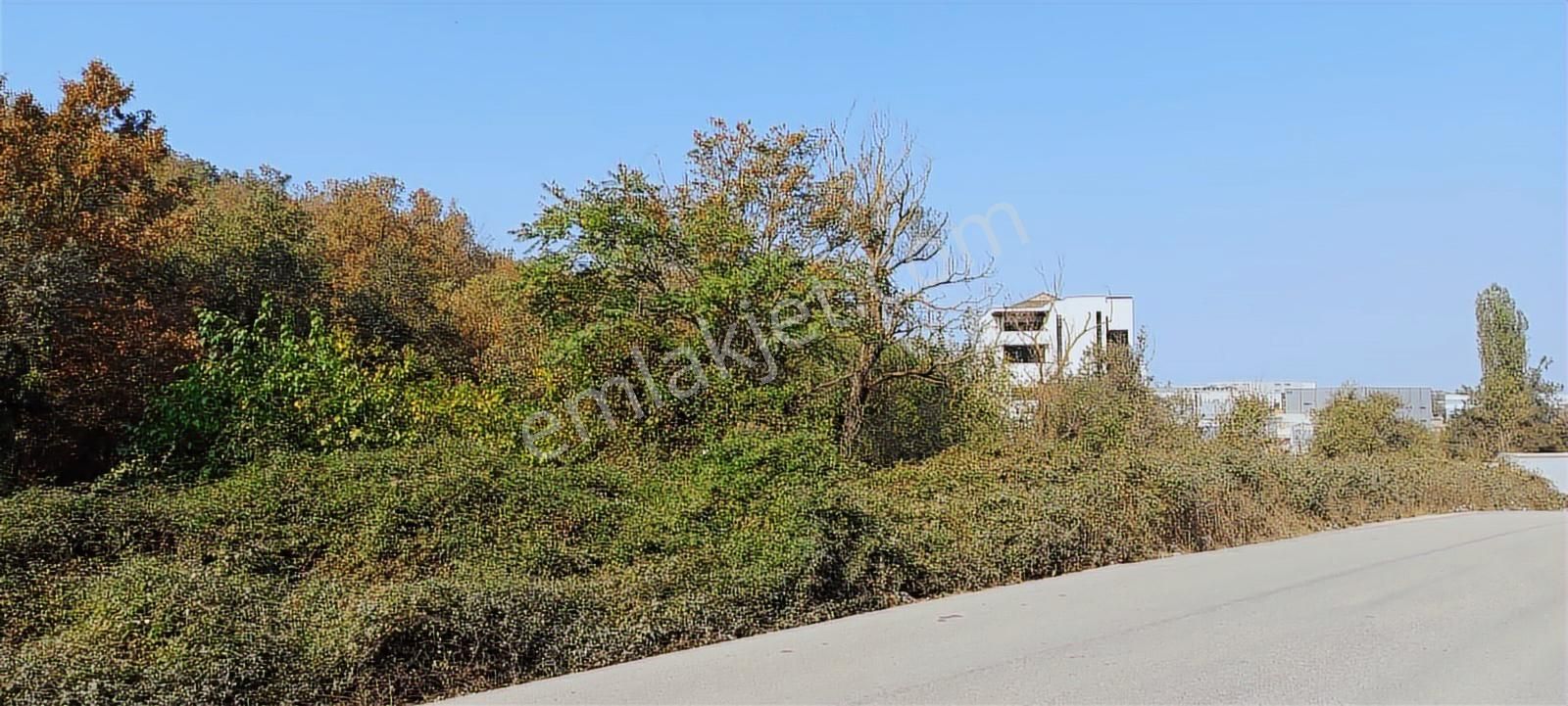 Kayapa Organize Sanayi Bölgesine Komşu 165 M2 Yatırımlık Arazi - Görsel 29