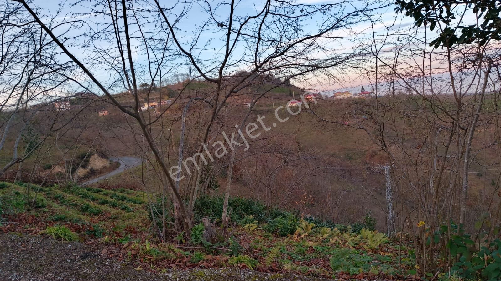 Trabzon'da Satılık Arazi - Görsel 29
