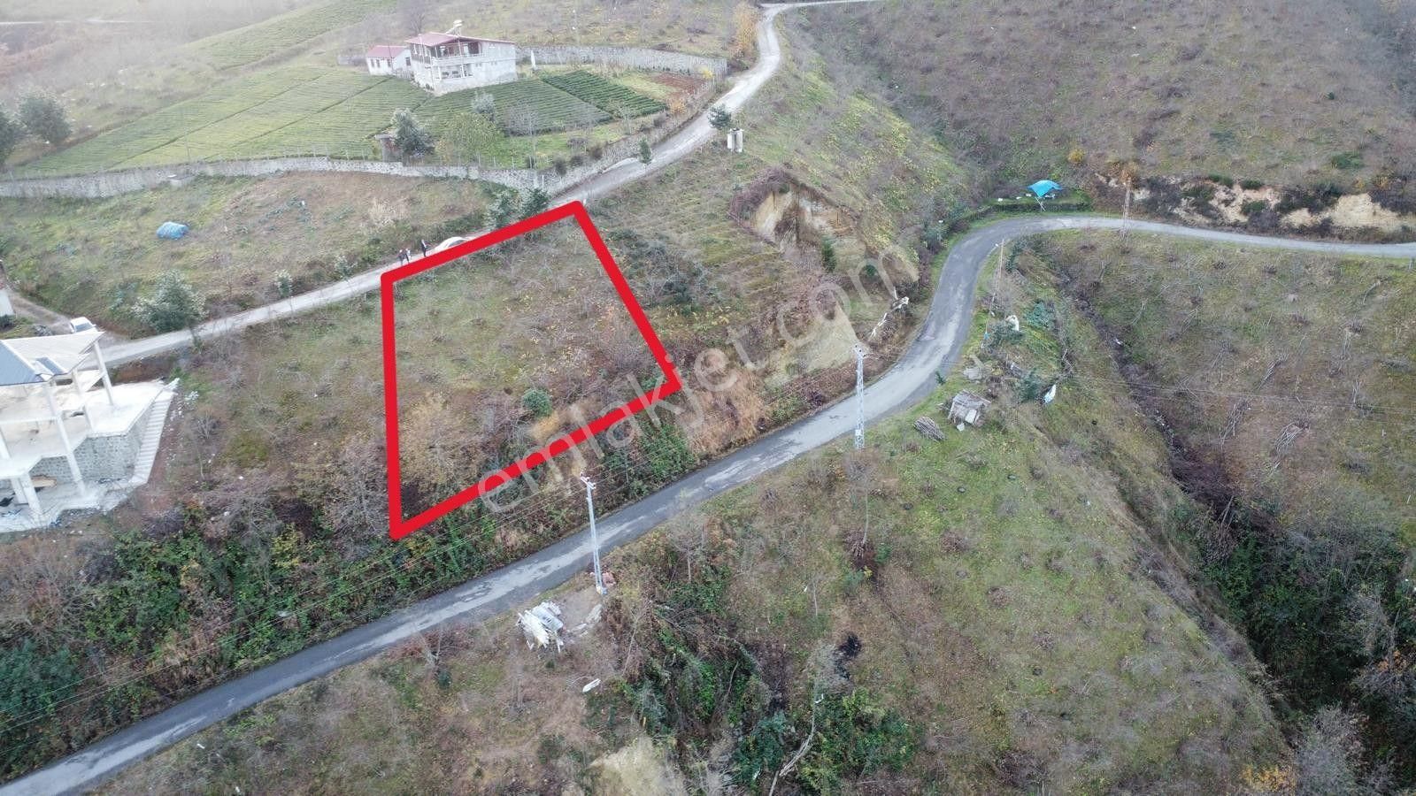 Trabzon'da Satılık Arazi - Görsel 4