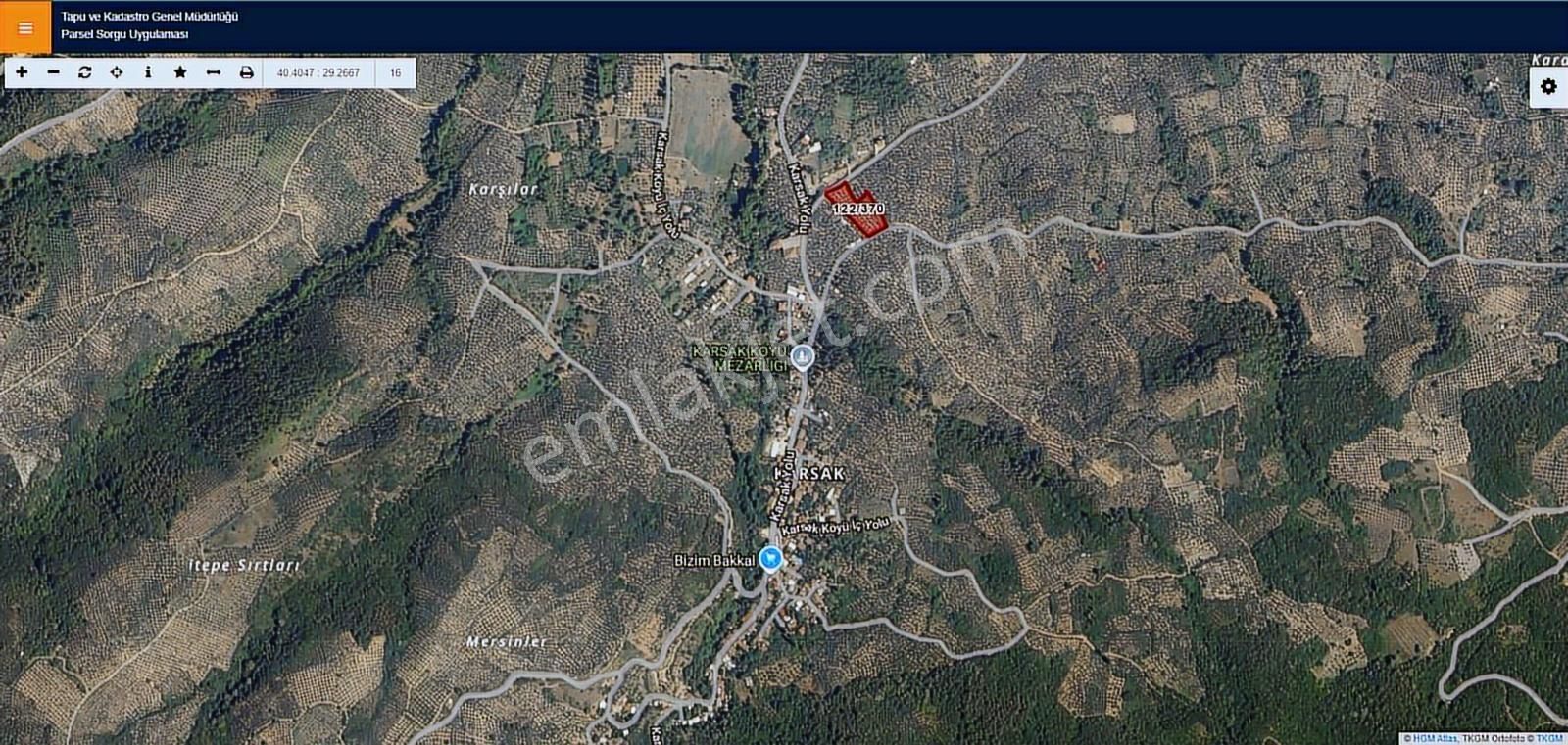 Bursa Orhangazi Karsak Köy Merkezinde Zeytinlik Yatırımlık Tarla - Görsel 3