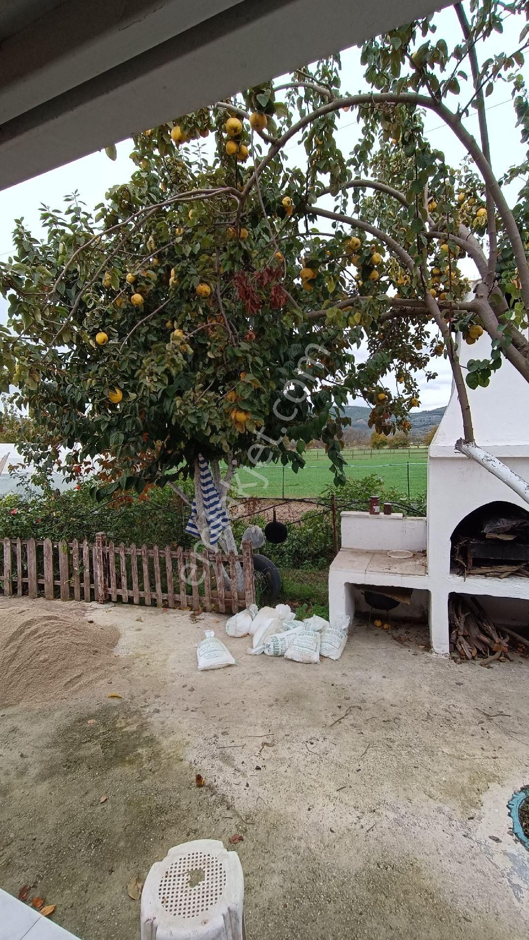 Doğa İle İç İçe Kiralık Köy Evi - Görsel 5