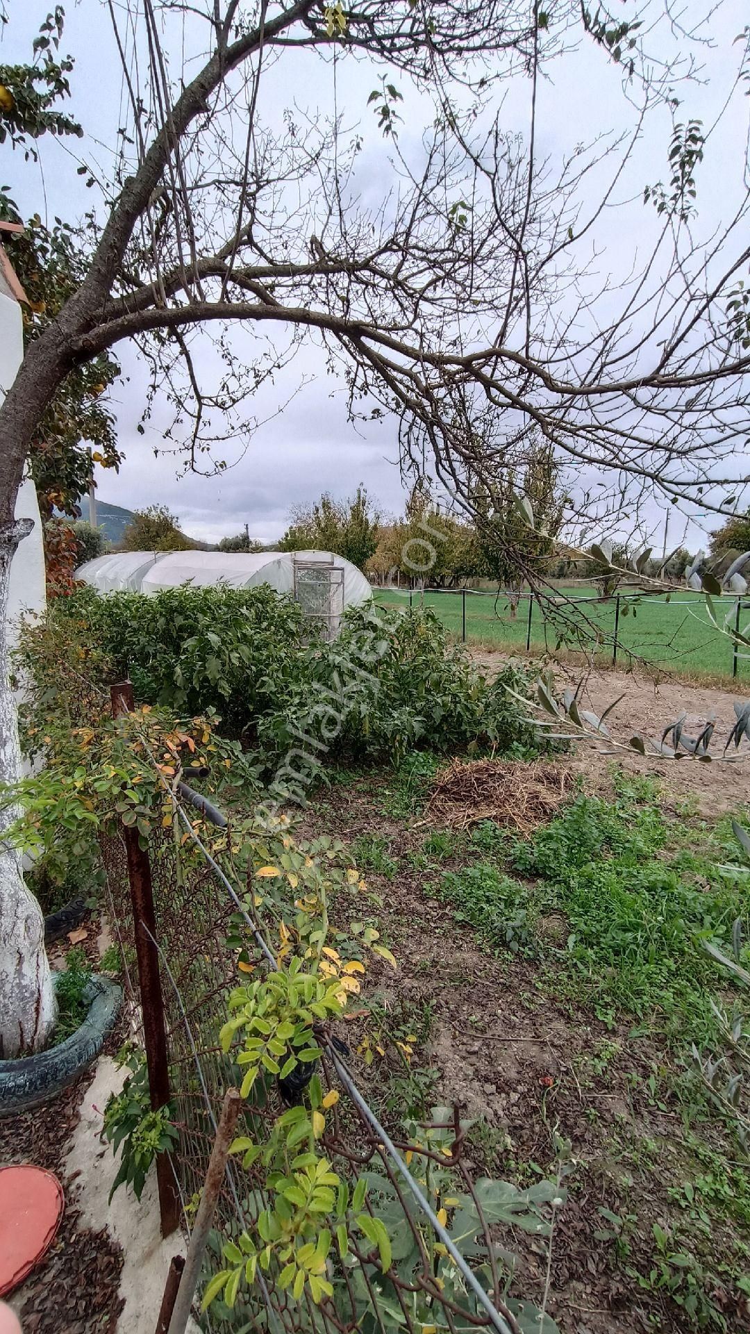 Doğa İle İç İçe Kiralık Köy Evi - Görsel 3