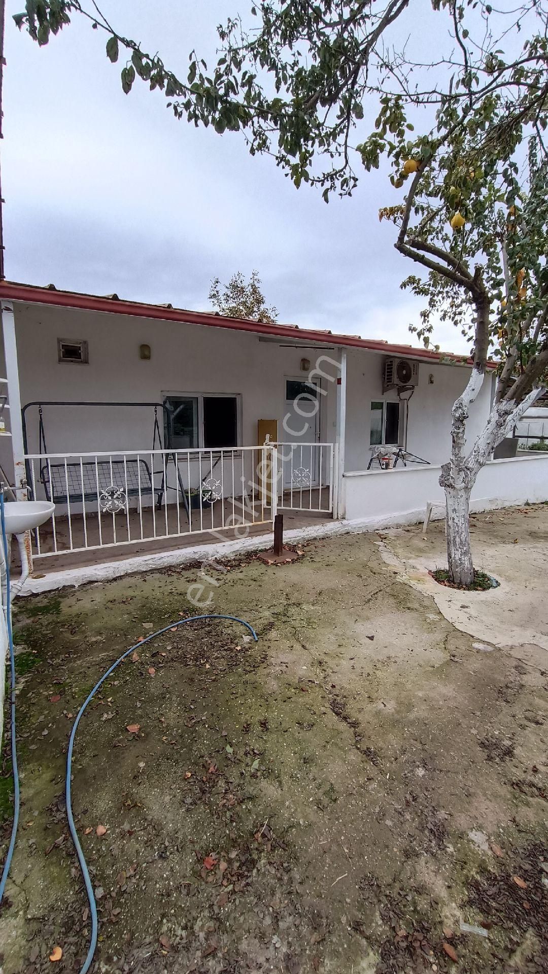 Doğa İle İç İçe Kiralık Köy Evi