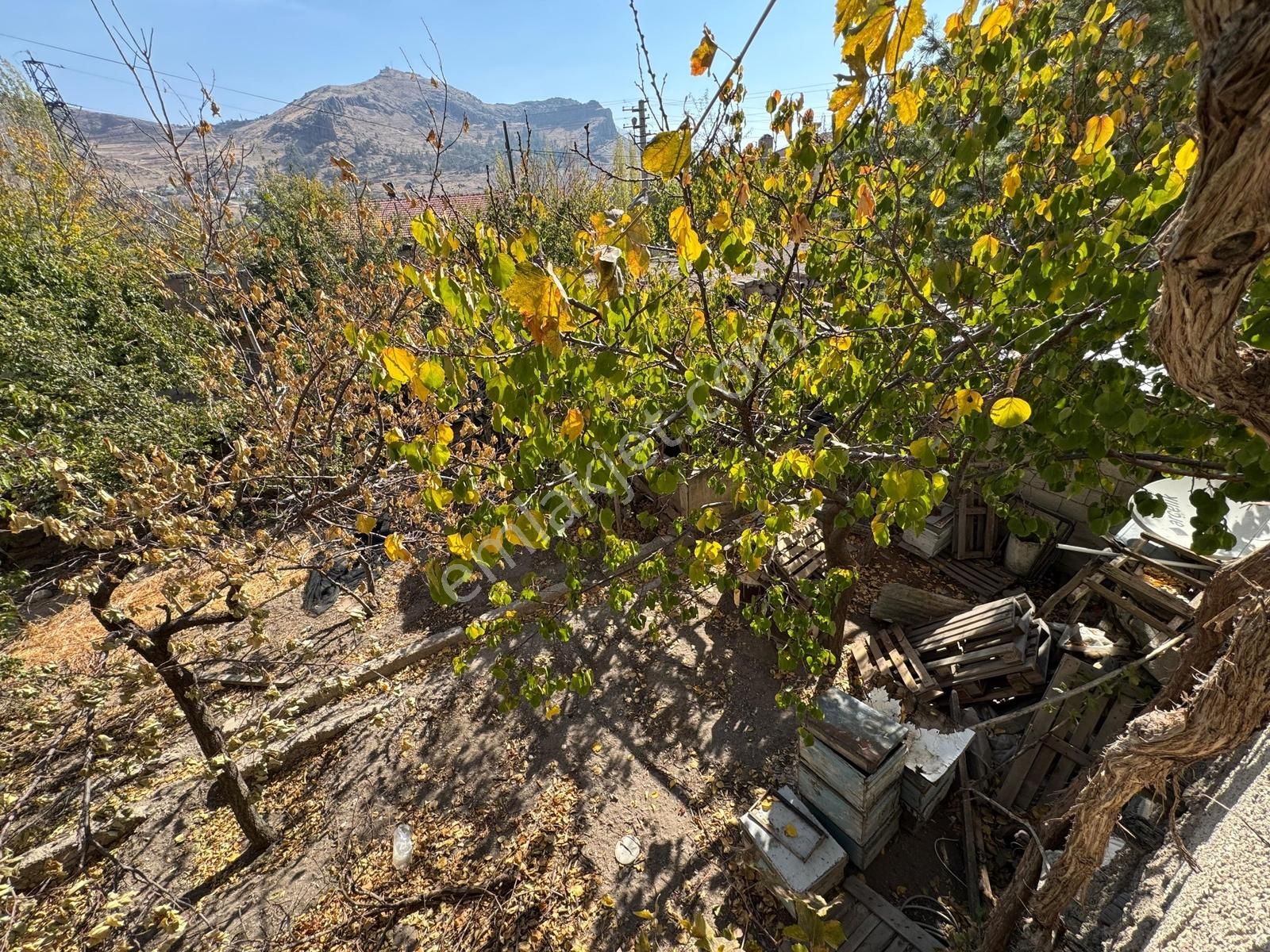 Fiyat Düştüüüü!!! Acil Satılıkkkk Müstakil Ev - Görsel 10