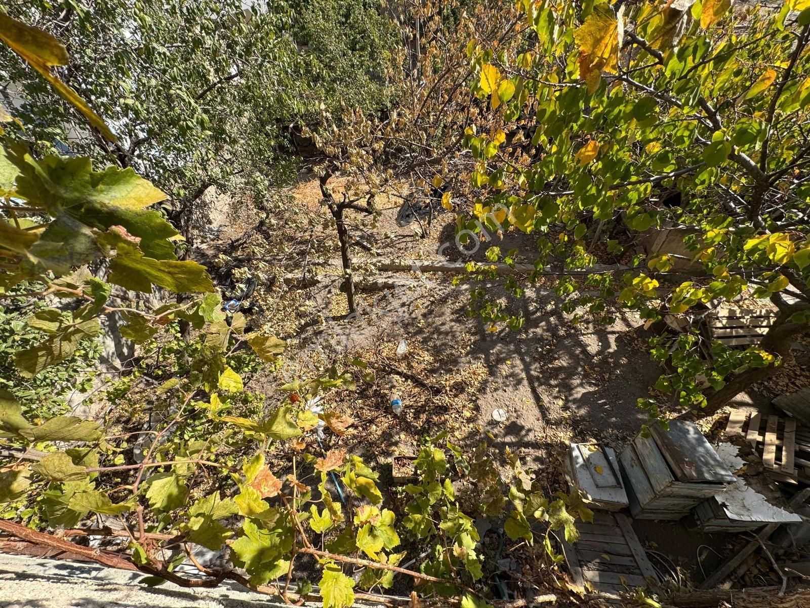 Fiyat Düştüüüü!!! Acil Satılıkkkk Müstakil Ev - Görsel 23