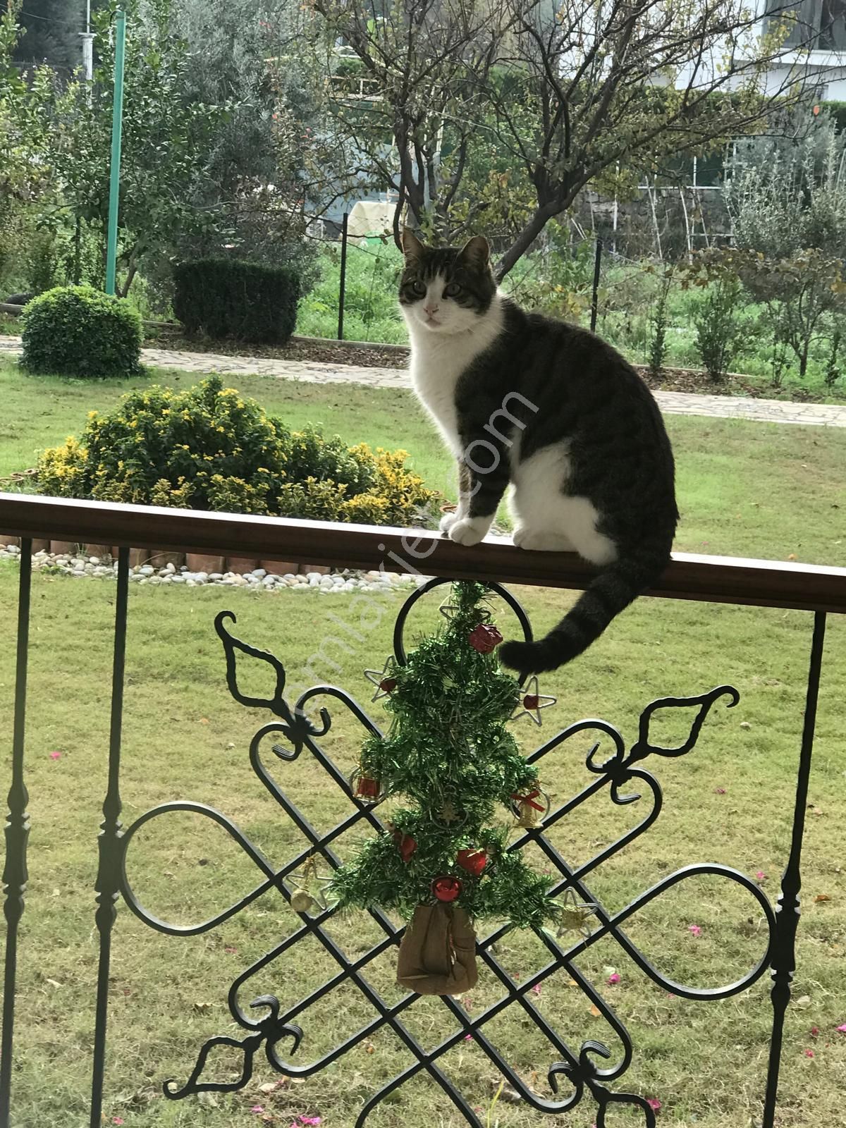 Stop’tan Foça Eşyalı 2+1 Bahçeli Yerden Isıtmalı Arakat - Görsel 10