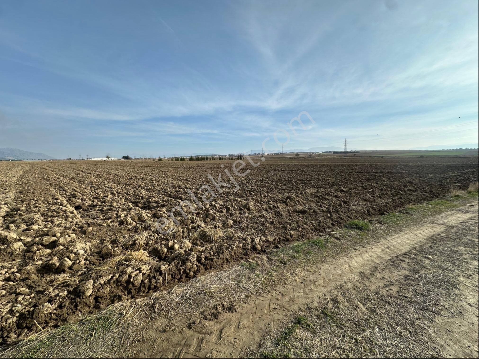 Şengül Gayrimenkul'den Bozkurtta 14,928m2 Sulak Düz Tarla - Görsel 6
