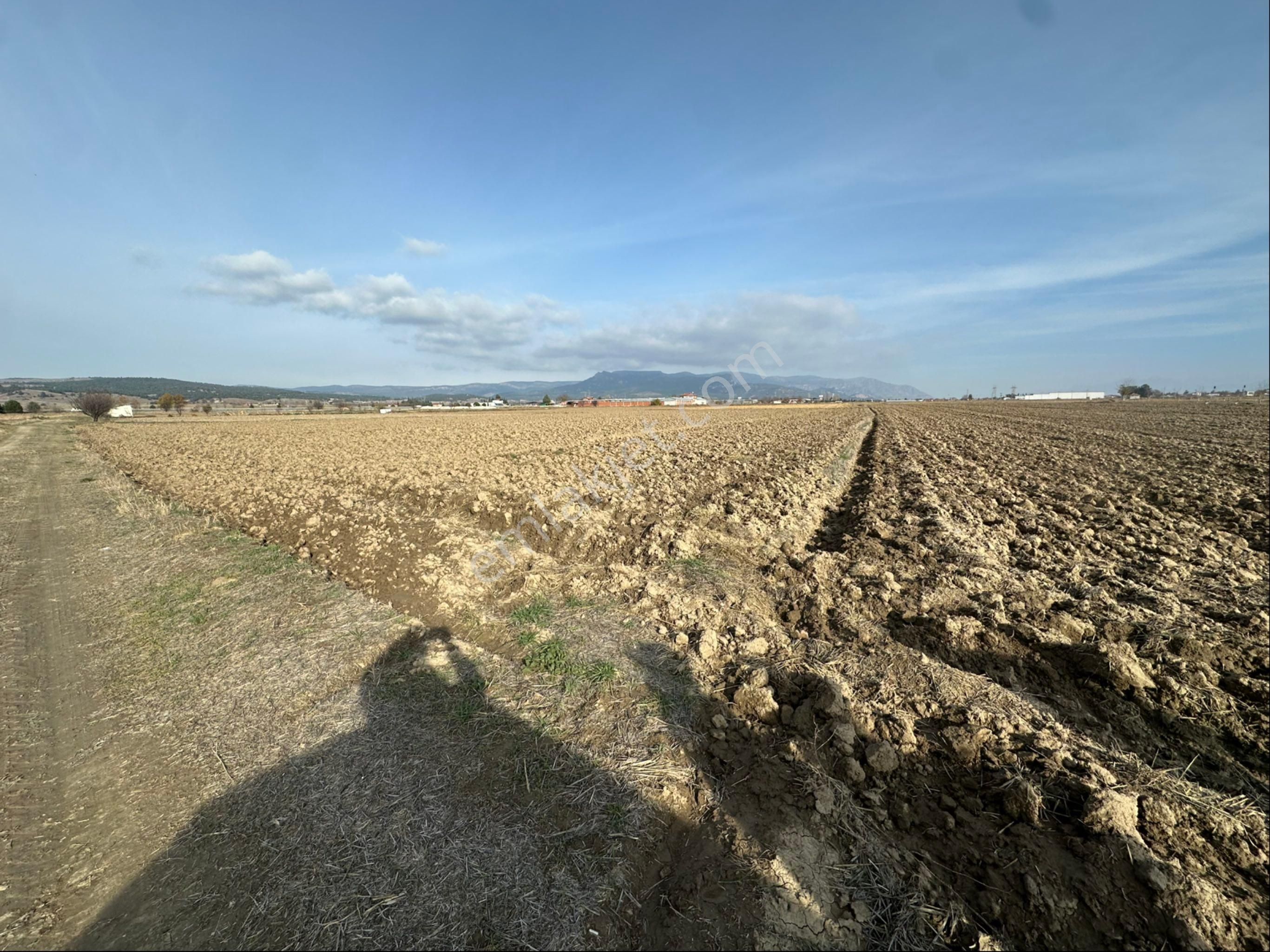 Şengül Gayrimenkul'den Bozkurtta 14,928m2 Sulak Düz Tarla - Görsel 2